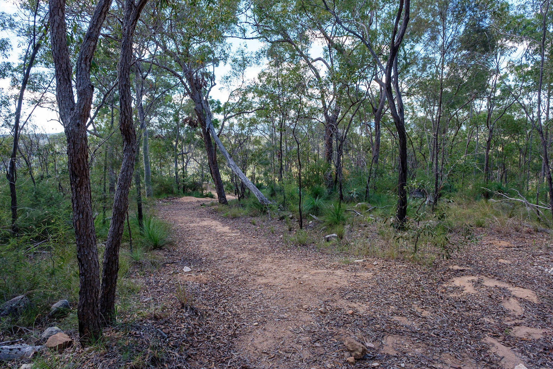 Cania Gorge National Park