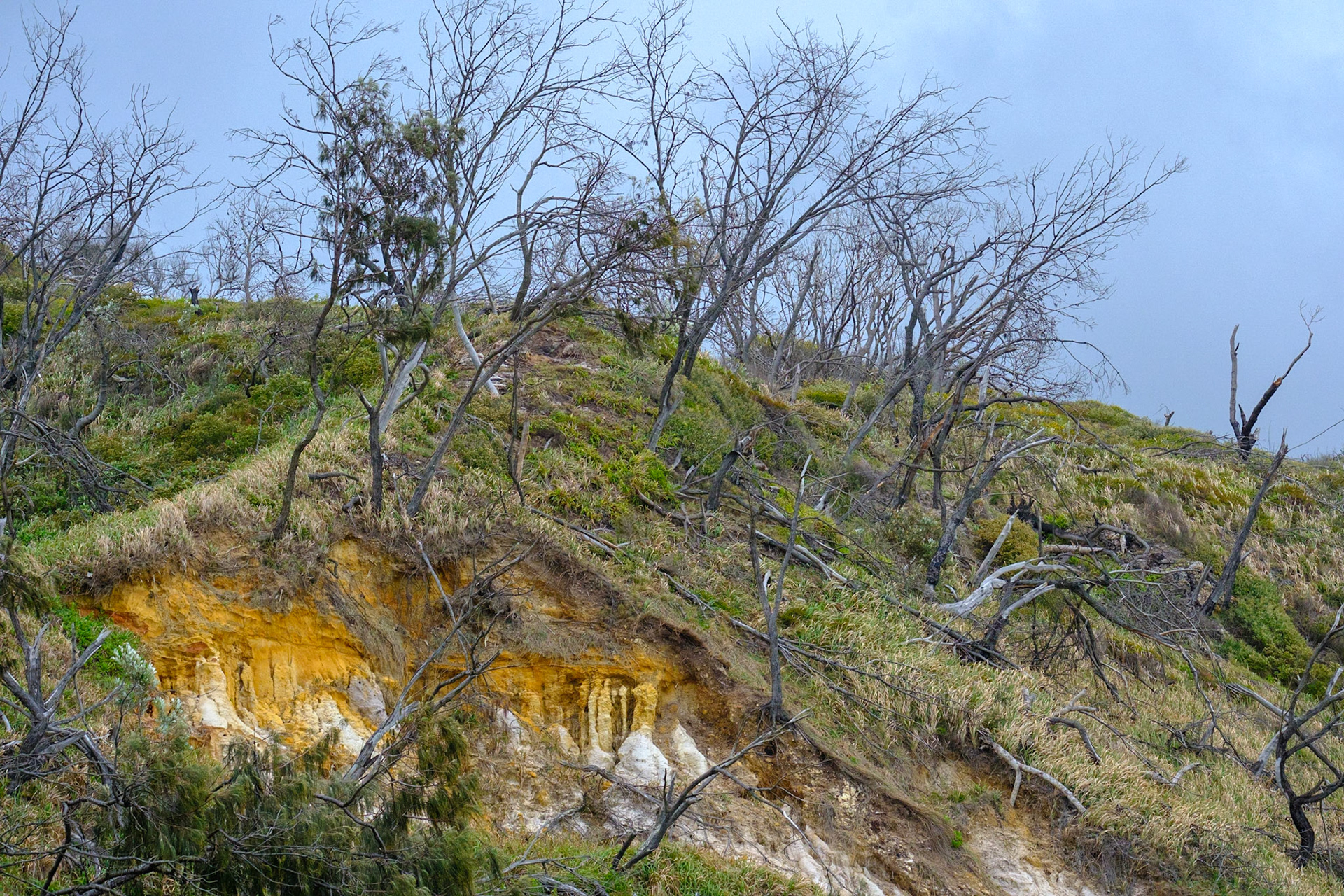 Camping Trip to Teewah Beach (Camping Zone 3)