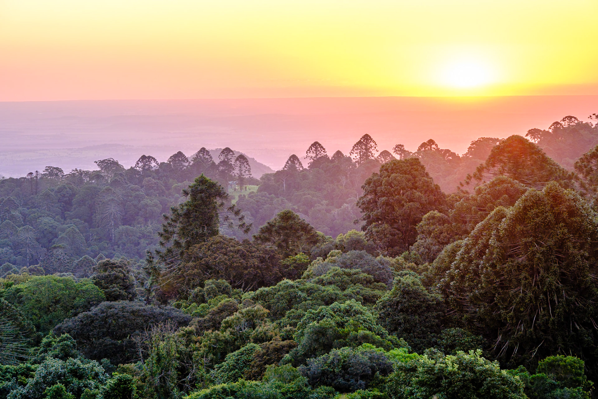 Bunya Mountains - Late afternoon & sunset from Fishers Lookout