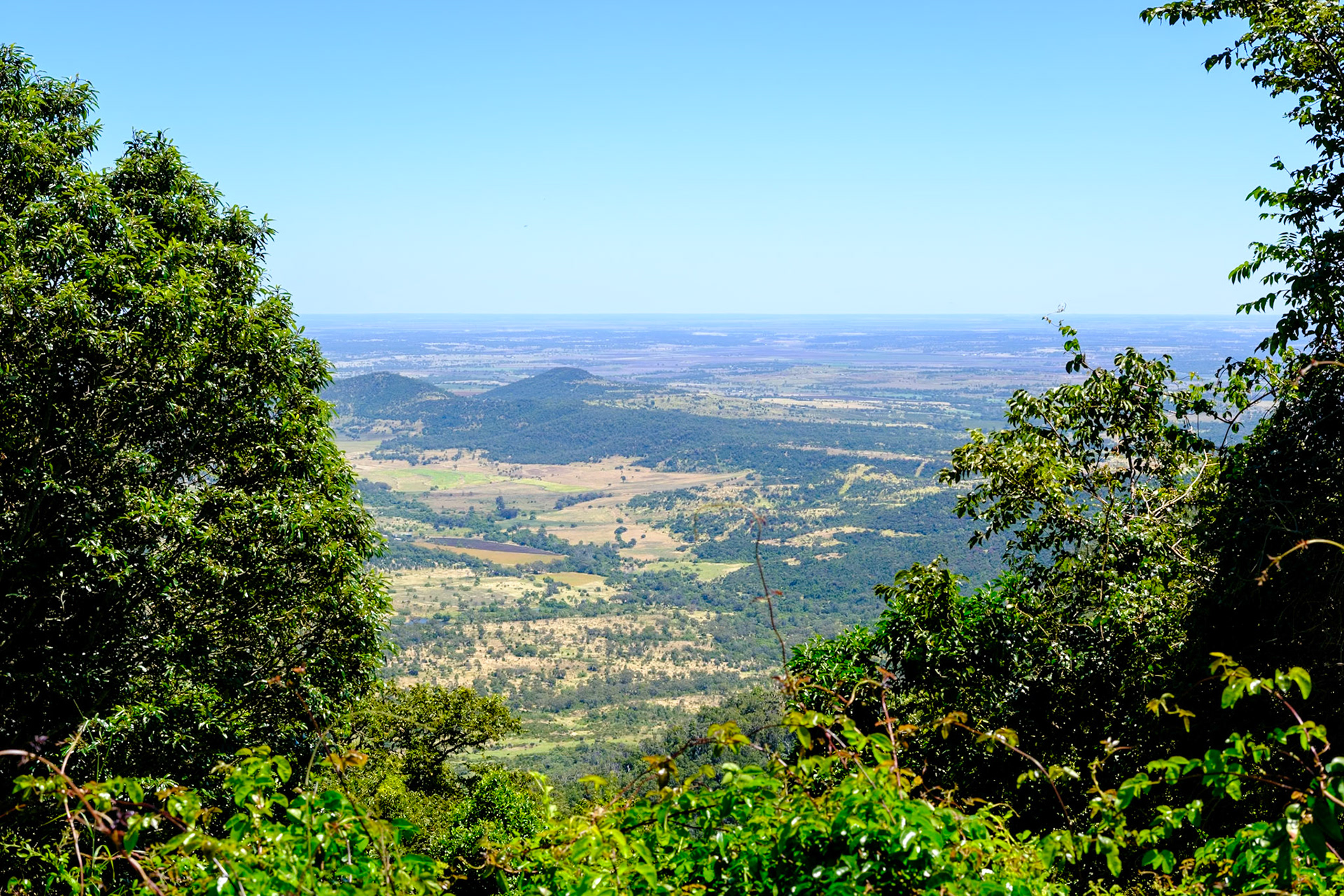 Bunya Mountains - Koondaii Circuit Walk