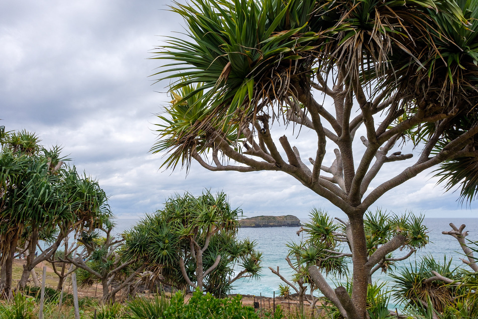 View toward Cook Island from Fingal Head Lighthouse
