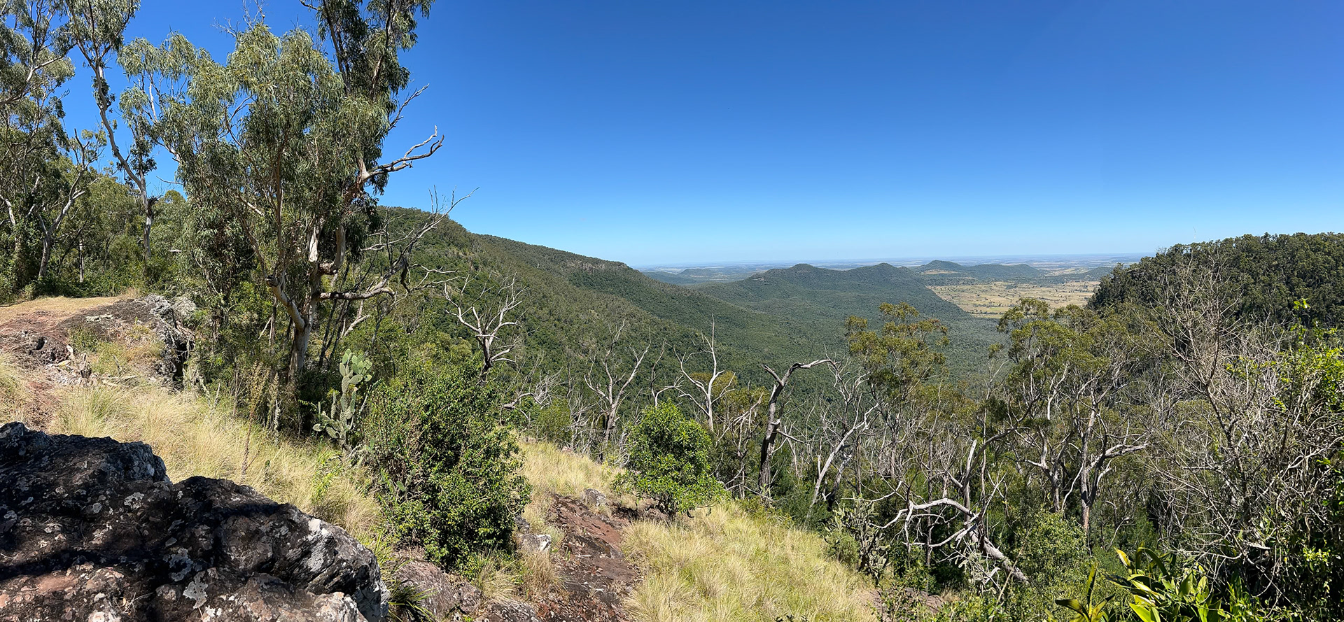 Bunya Mountains - Koondaii Circuit Walk