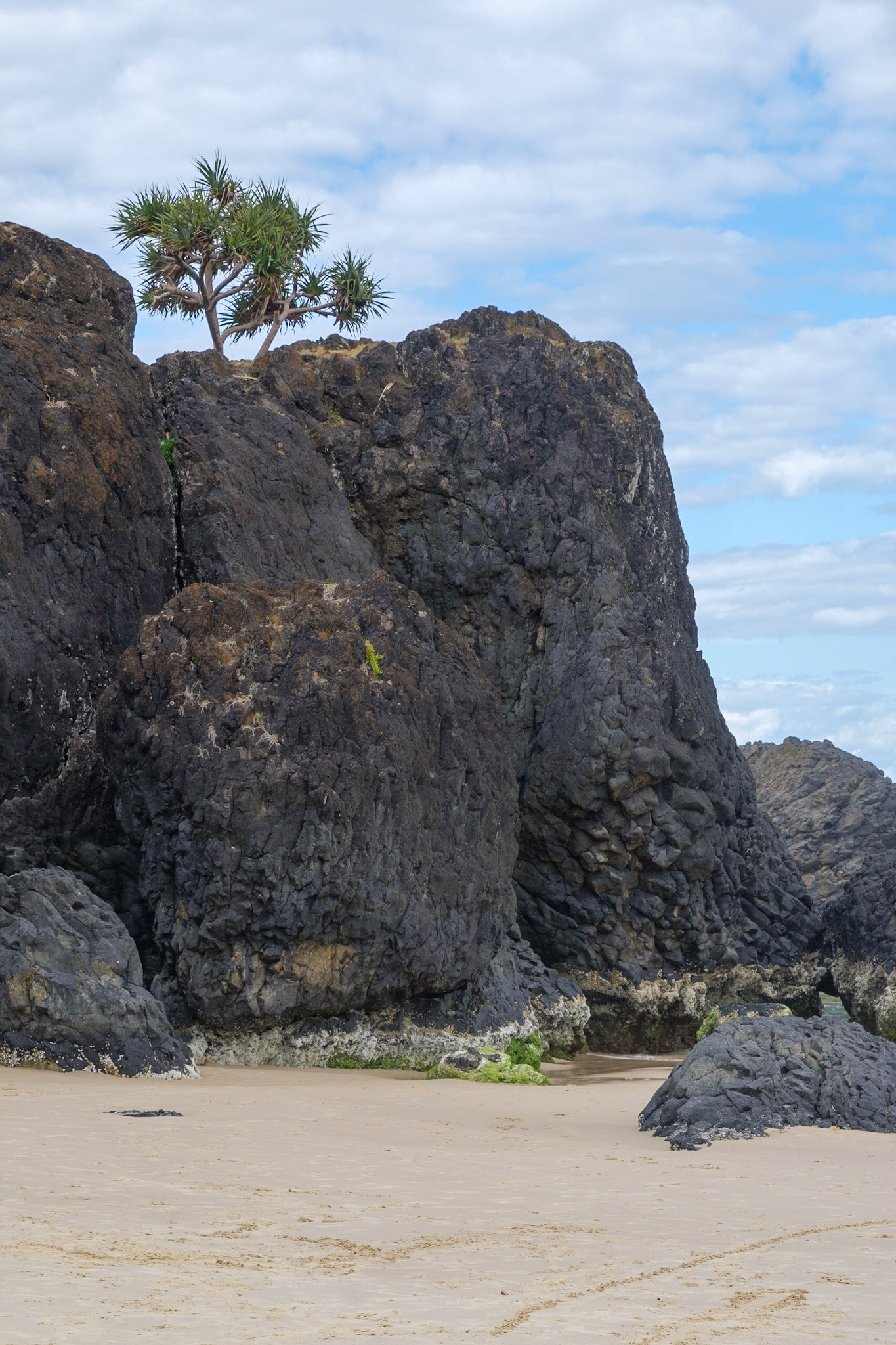 On Dreamtime Beach