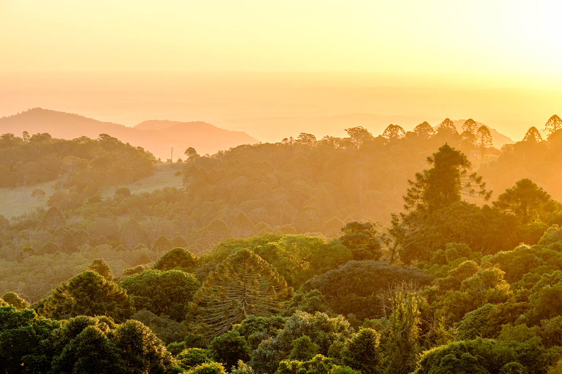 Bunya Mountains - Late afternoon & sunset from Fishers Lookout