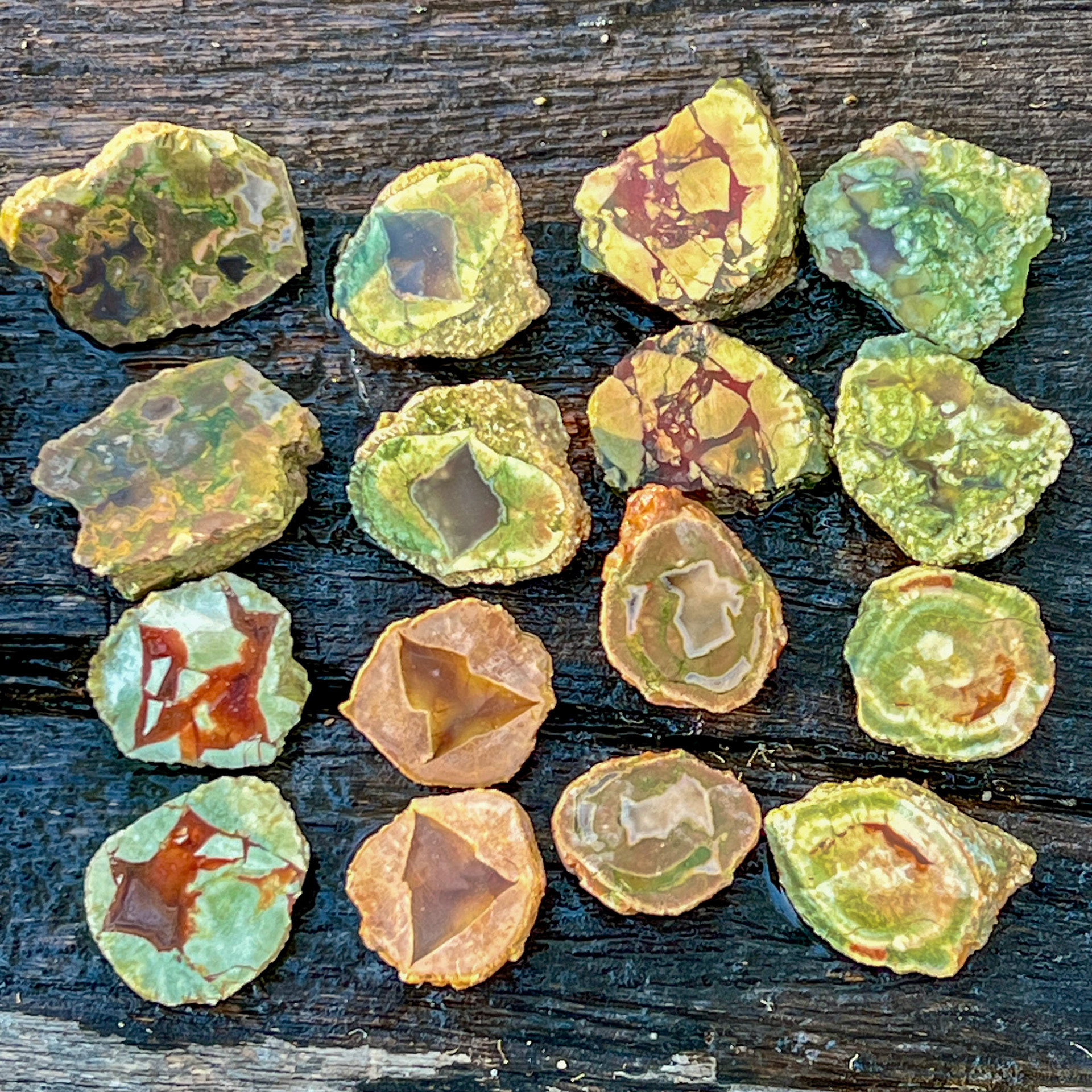 Fossicking for Thundereggs at Mt Hay