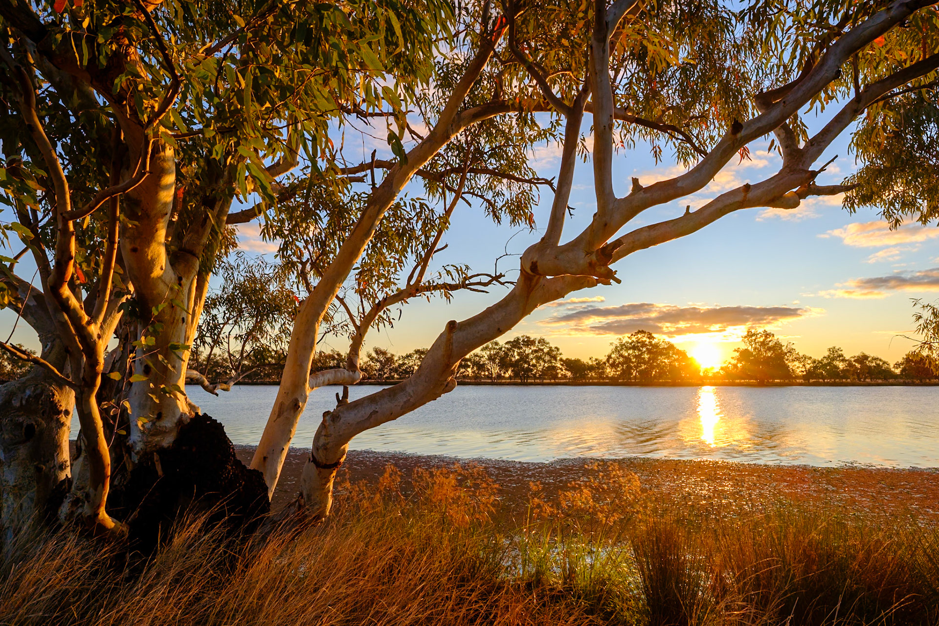At "The Lake", Quilpie