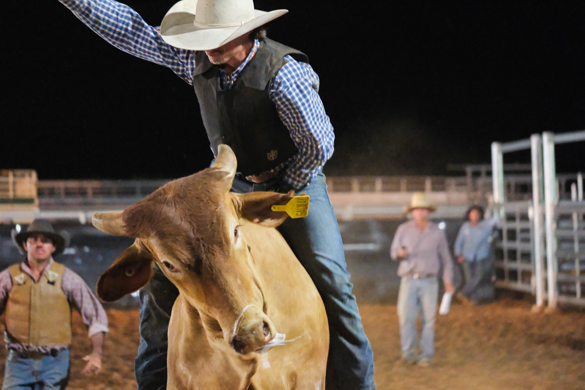 Windorah Rodeo