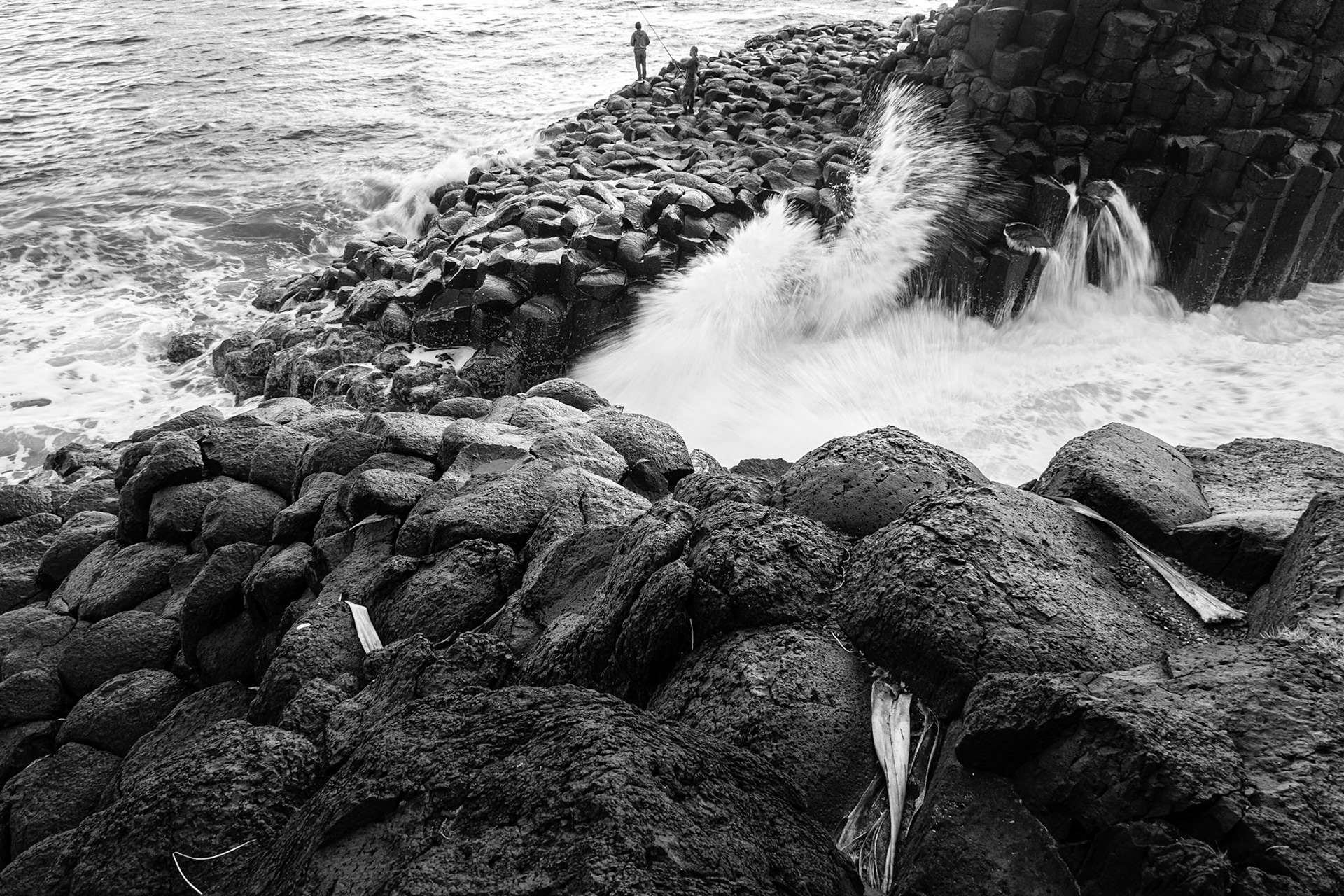 Fingal Head and Giant's Causeway