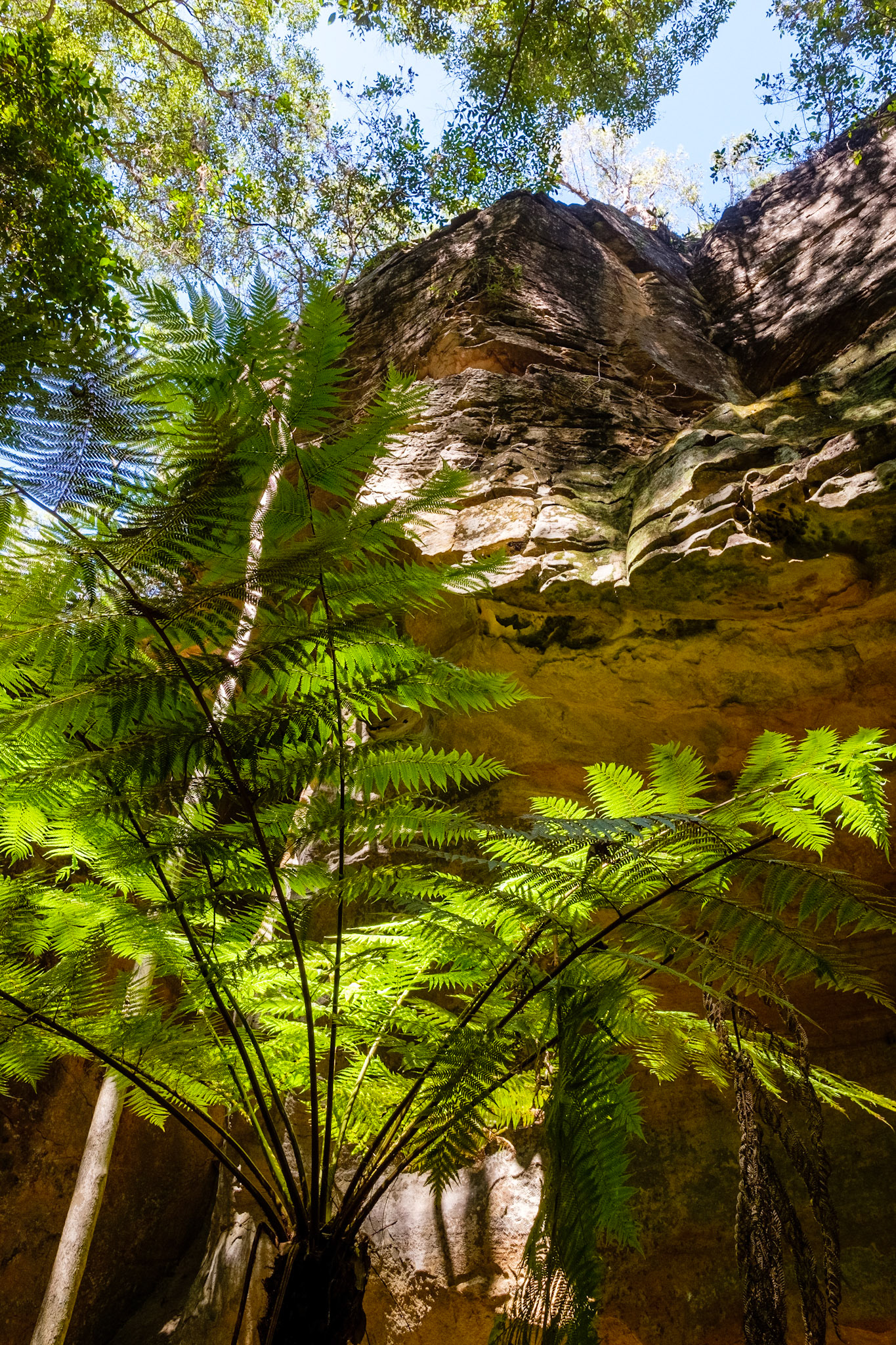 Cania Gorge - The Overhang