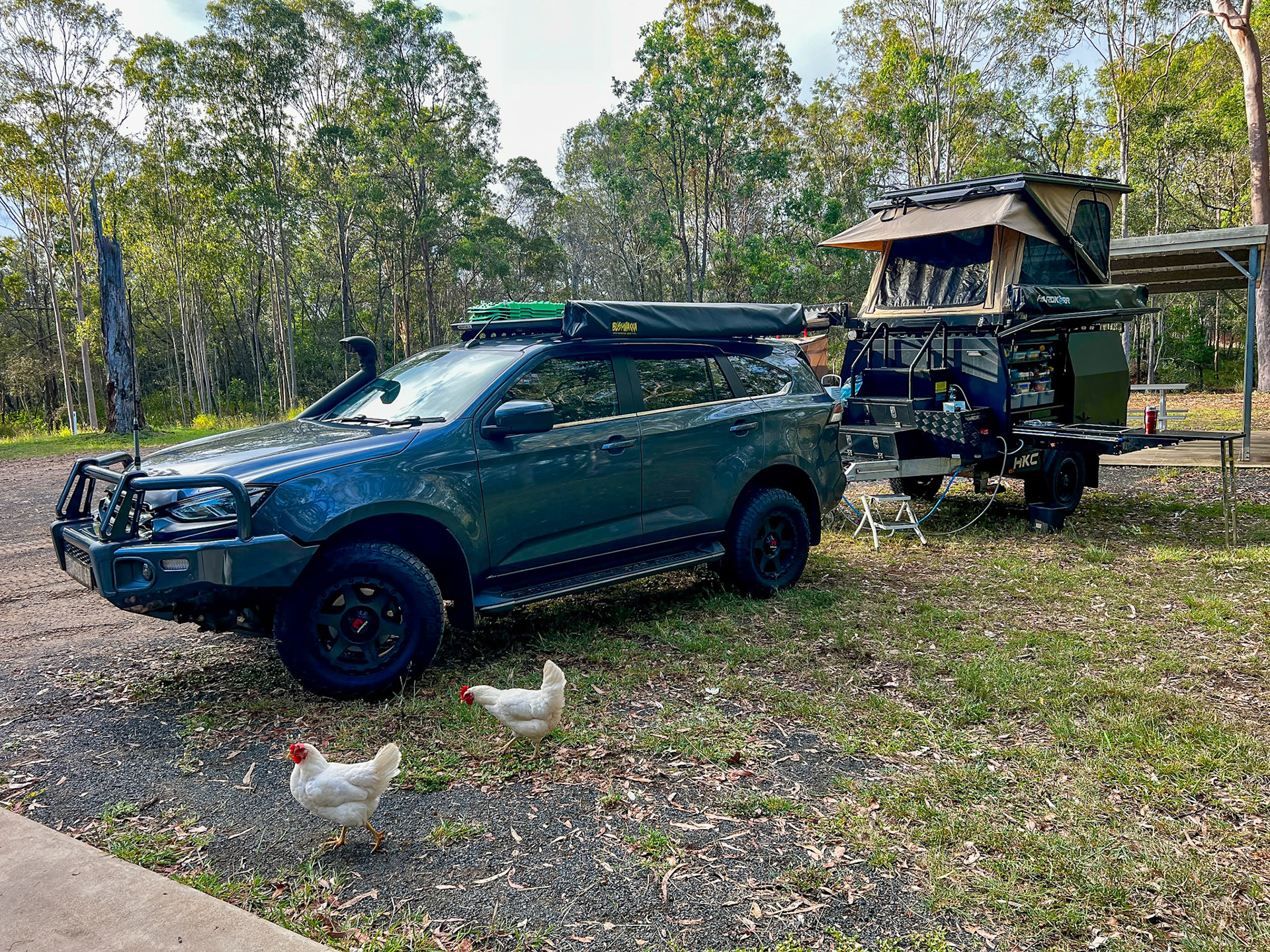 Overnight freecamp at Coominglah State Forest