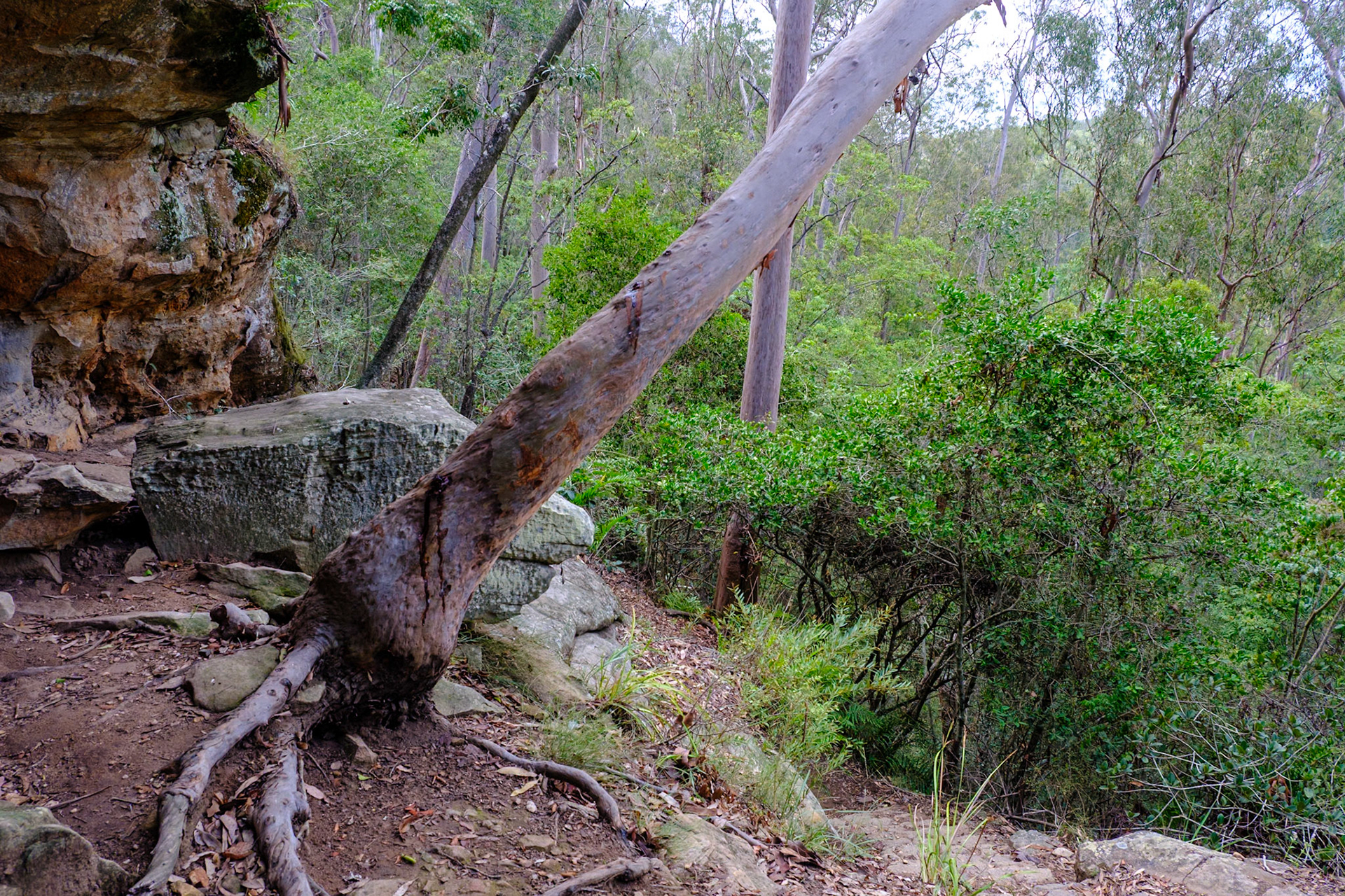 In Cania Gorge - Bloodwood Cave