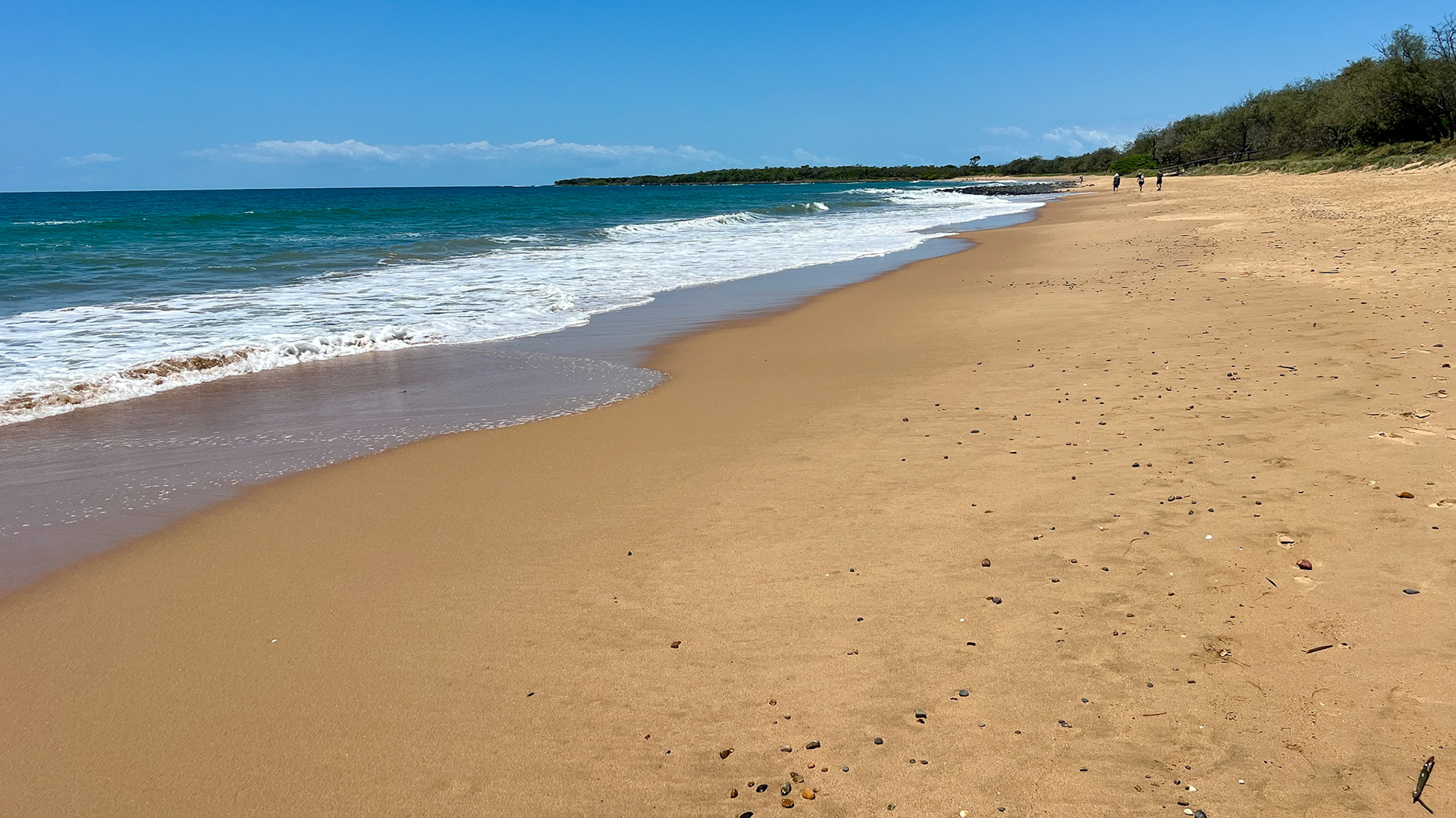 On Mon Repos Beach