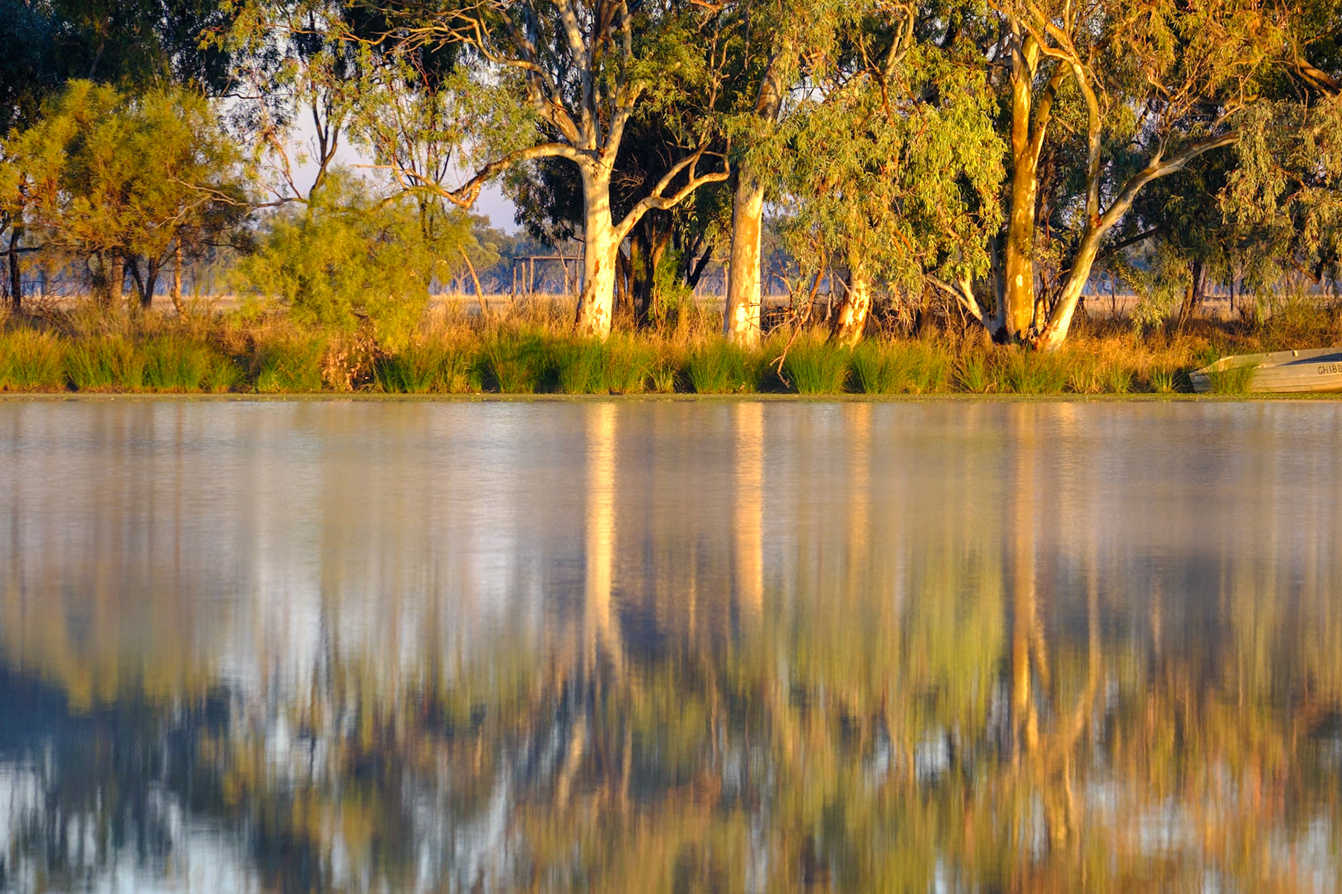 At "The Lake", Quilpie - Morning Reflections