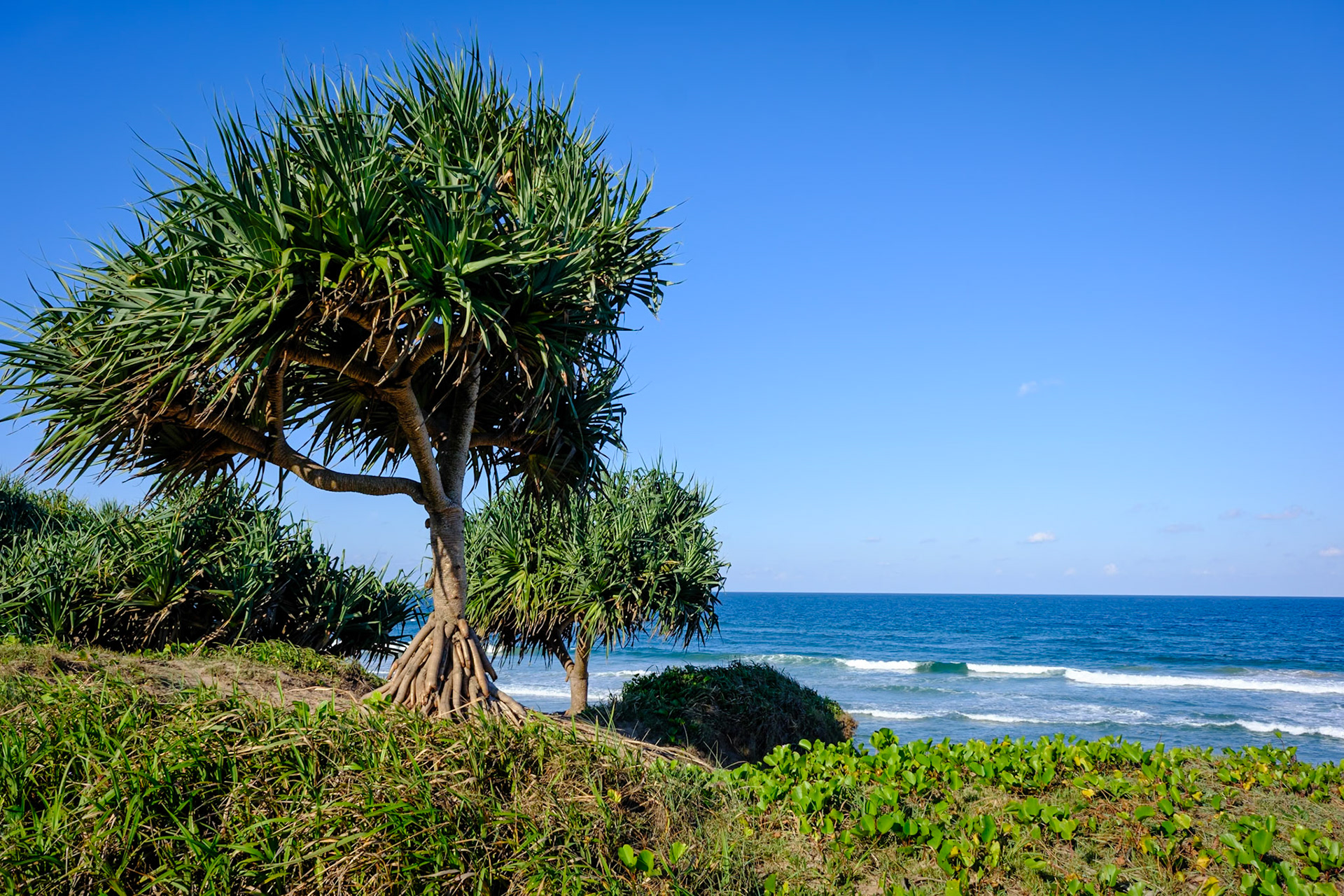 At Minbanba-Black Rocks - 10 Mile Beach