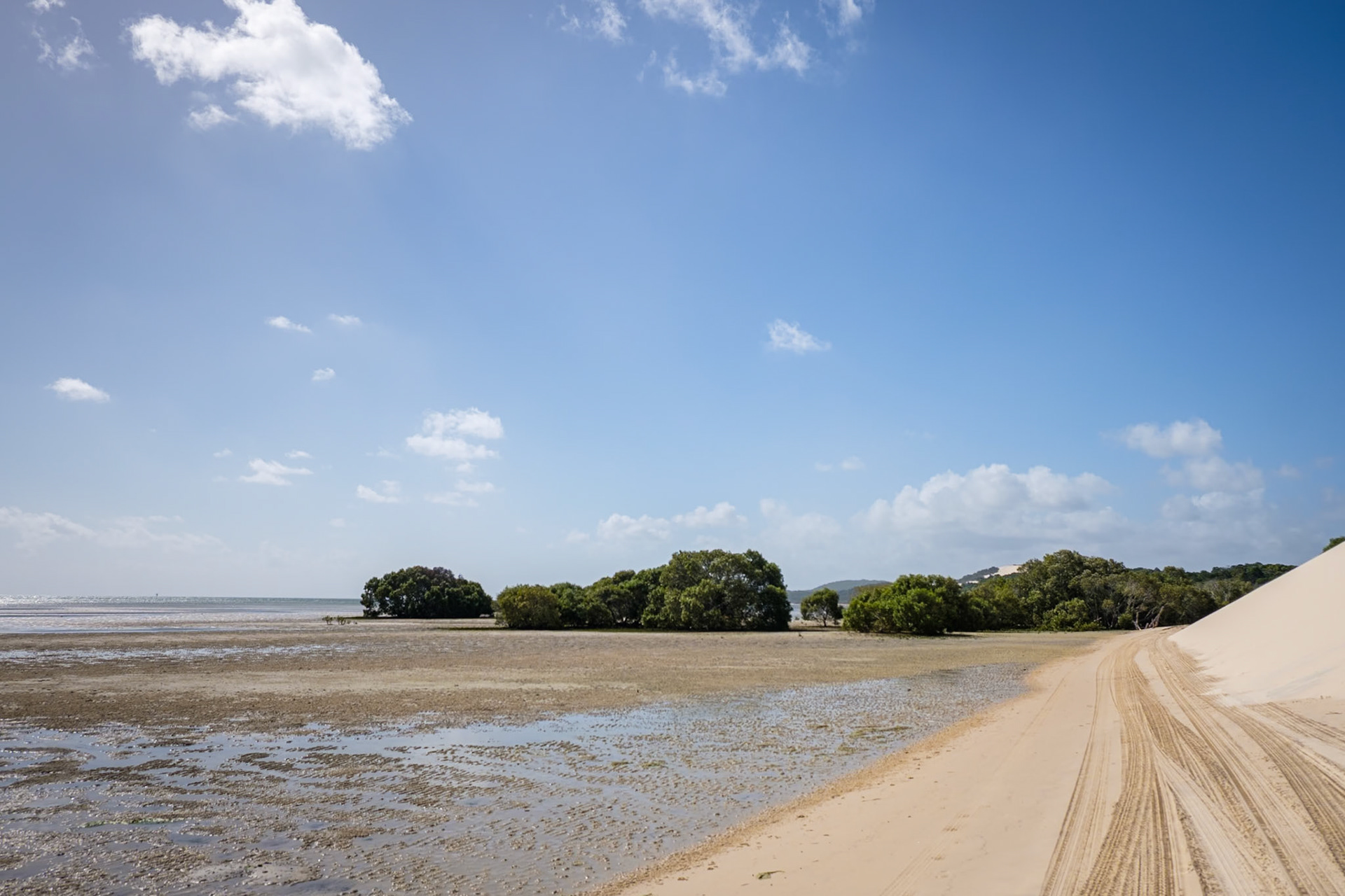 Western Beach track, Little Sandhills, Moreton Island