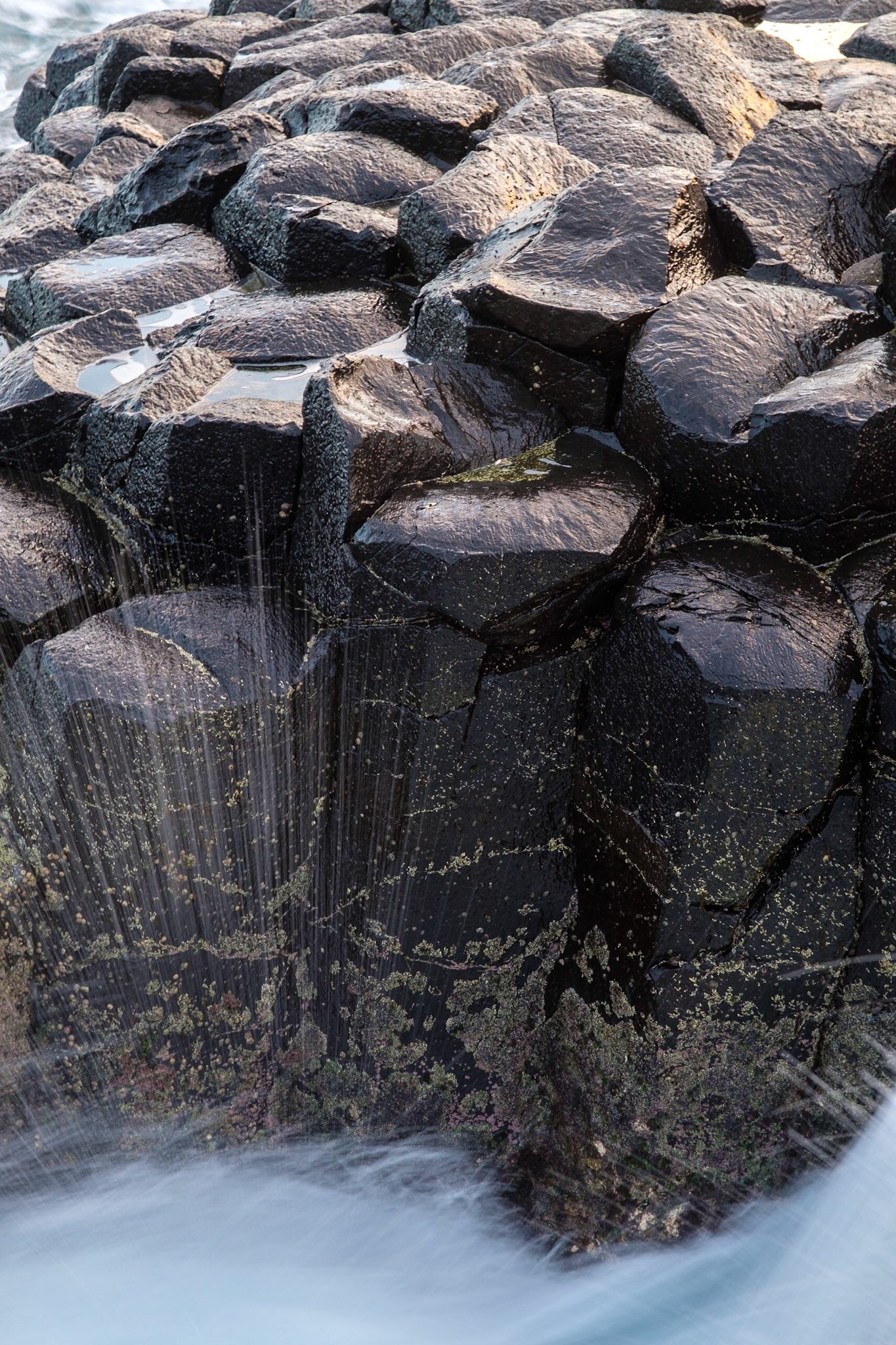 Fingal Head and Giant's Causeway