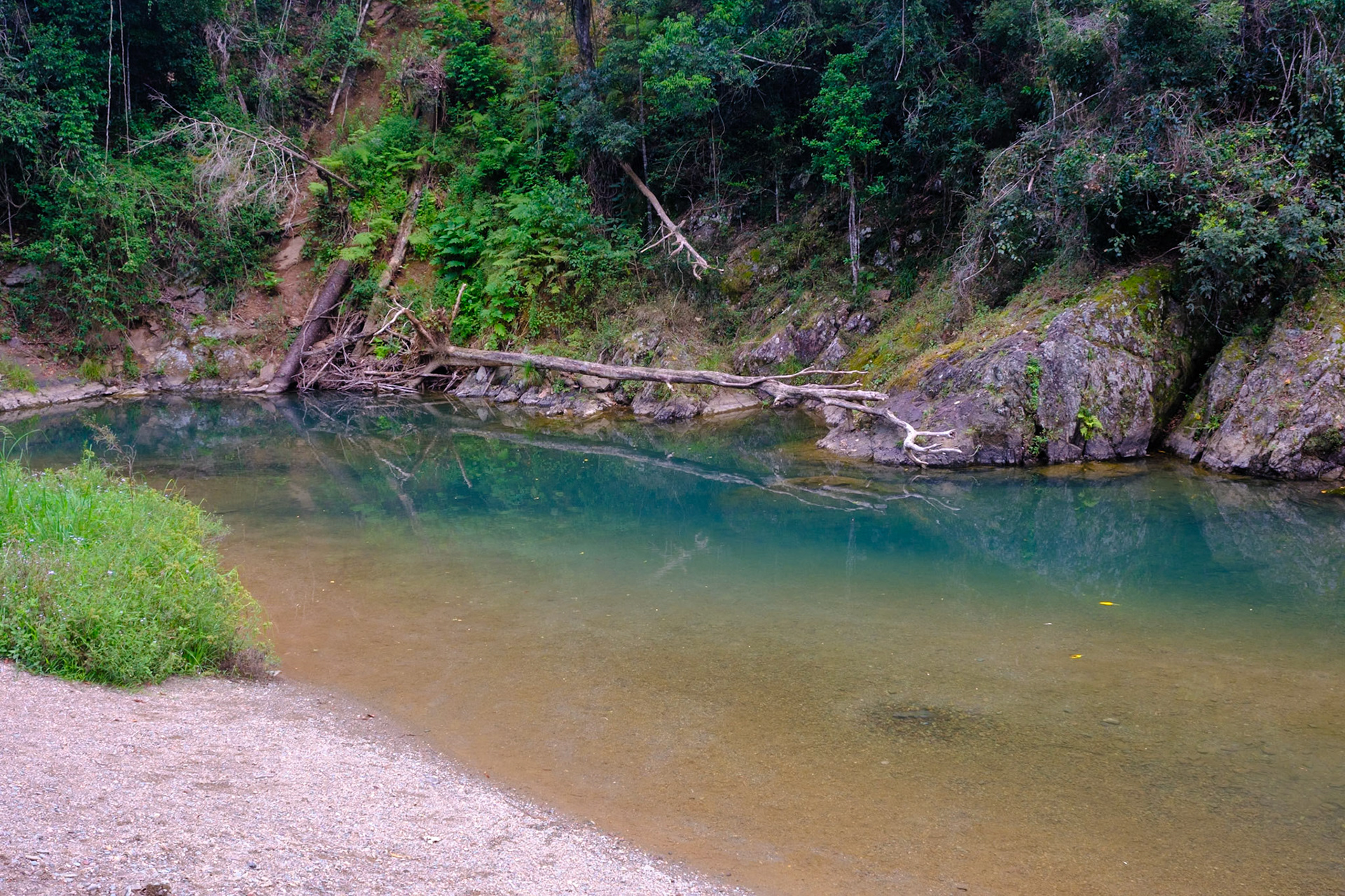Camping at Bouloumba Creek, Conandale National Park