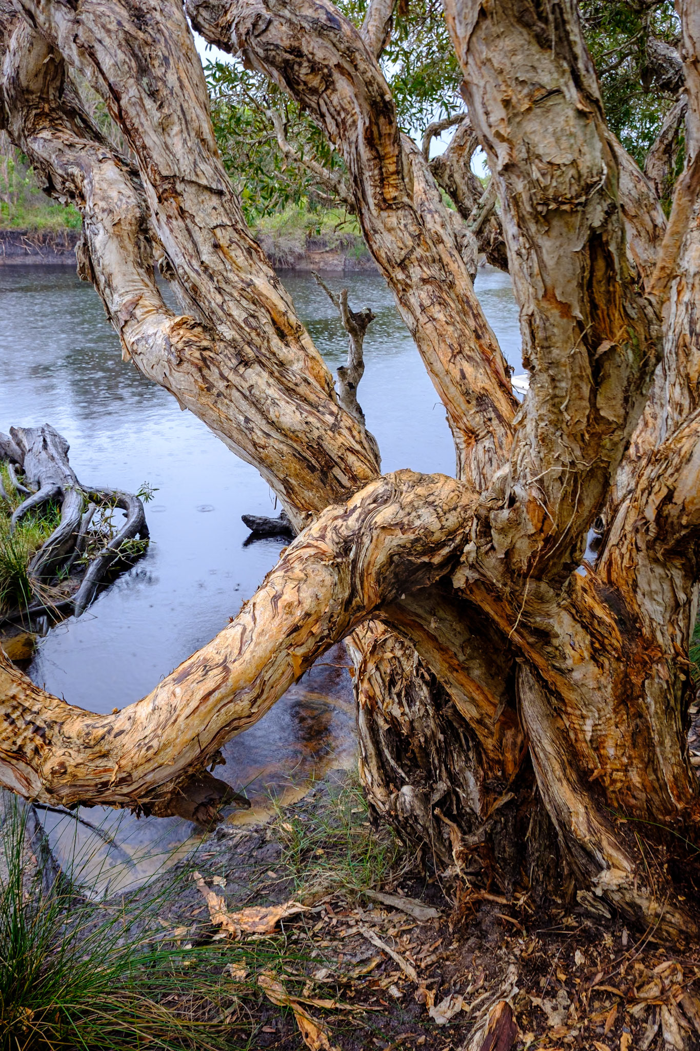 At Minbanba-Black Rocks - Jerusalem Creek