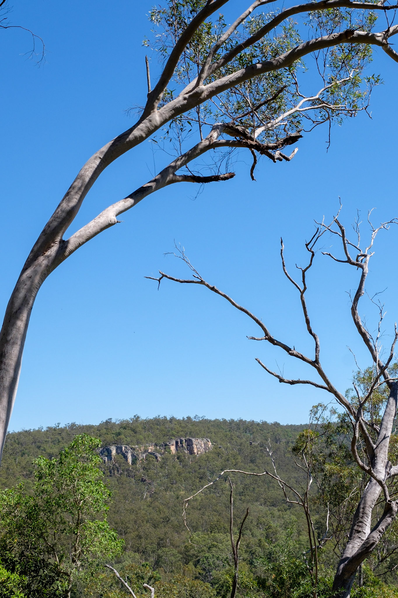 Cania Gorge - Gorge Lookout