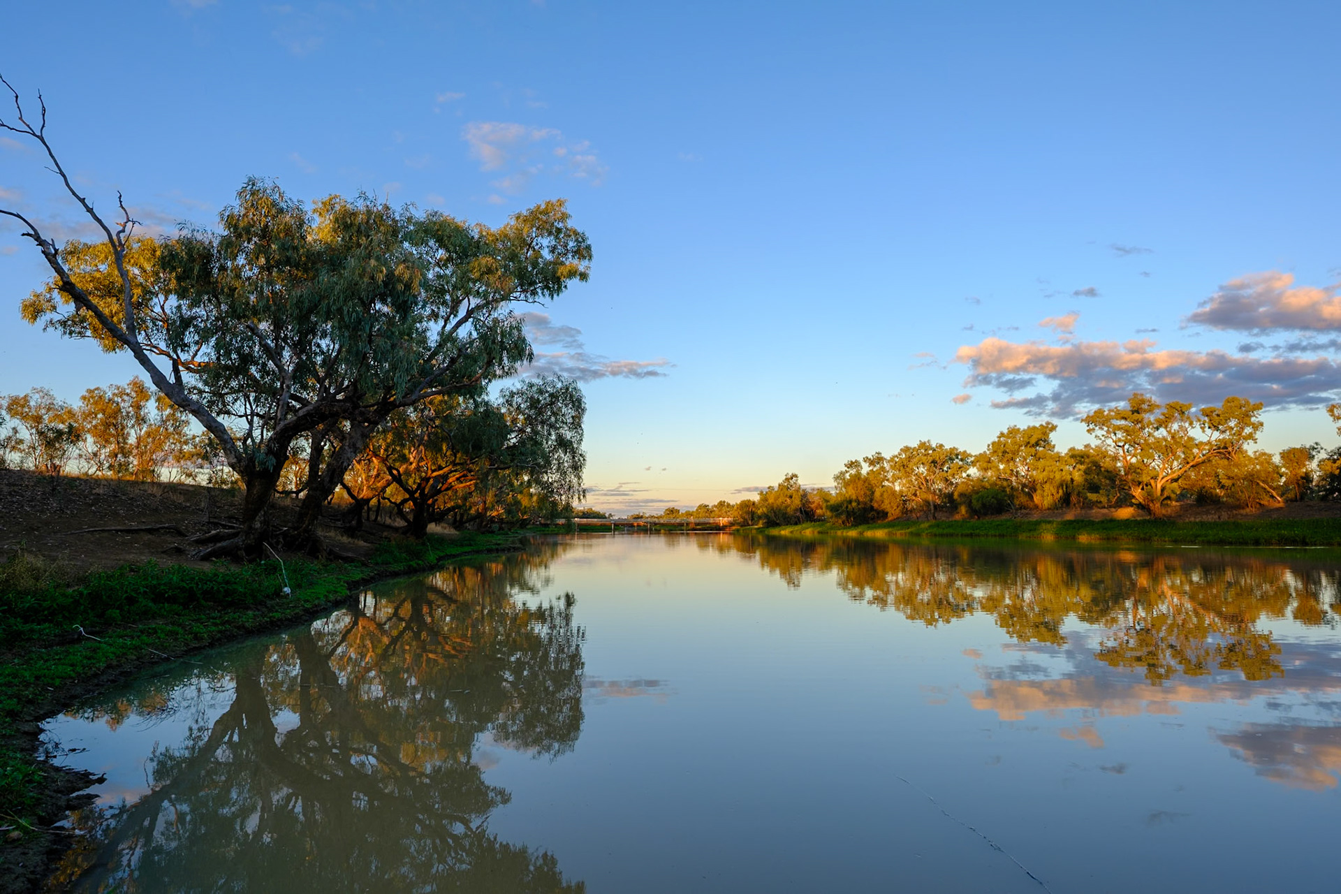 Late afternoon by the Thomson River