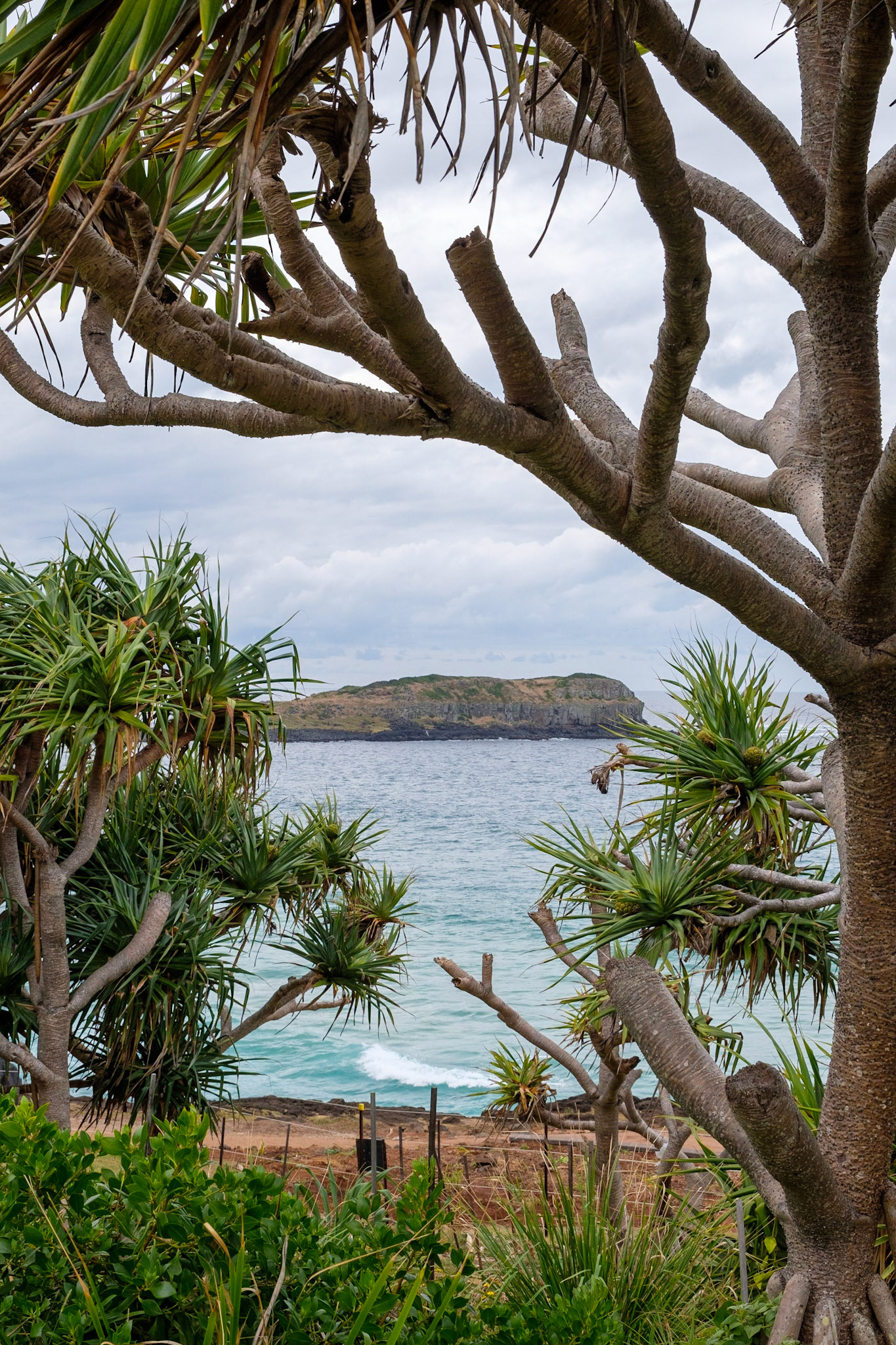 View toward Cook Island from Fingal Head Lighthouse