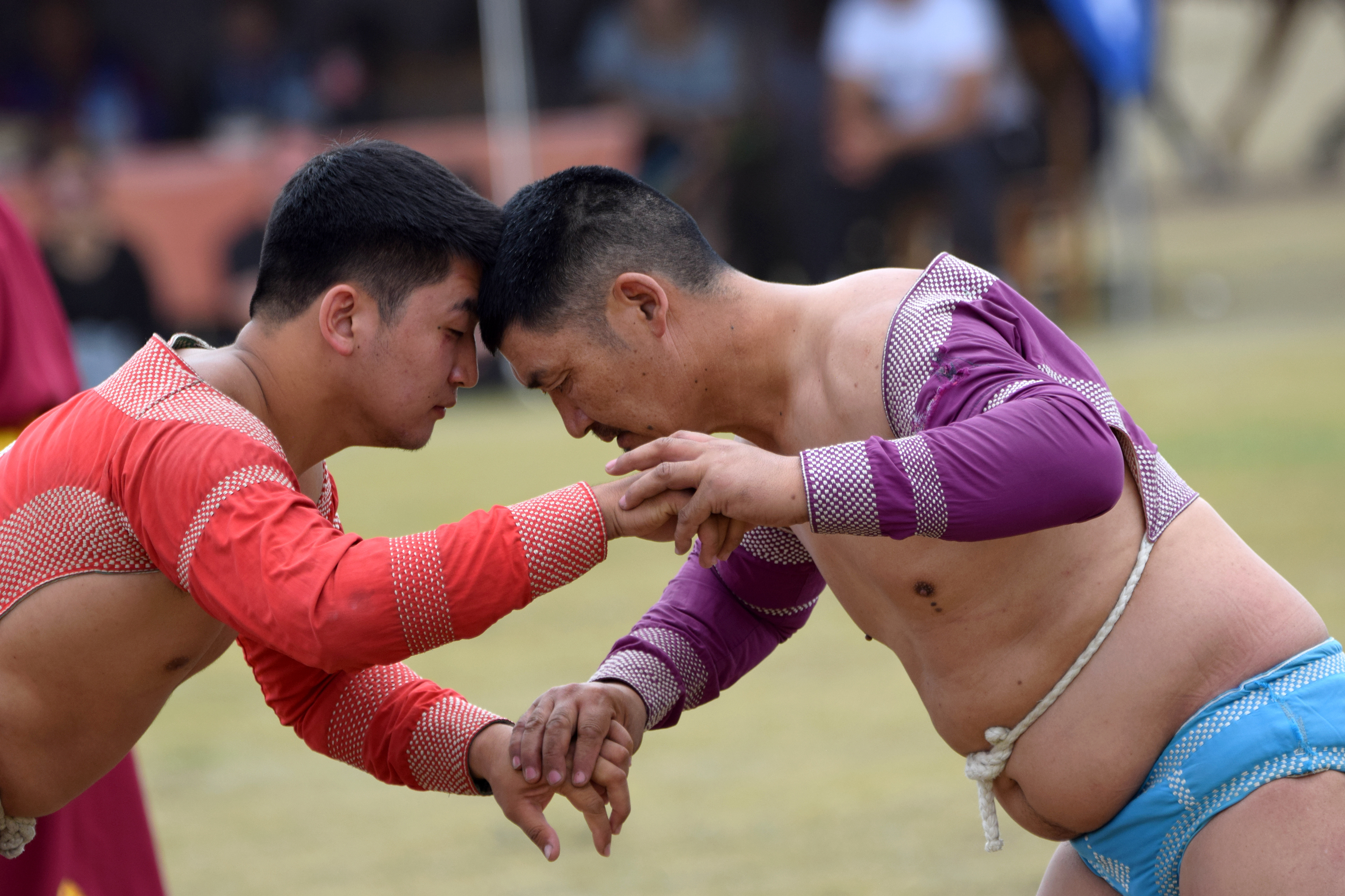 Épreuves de lutte mongole (bökh) pendant le Naadam