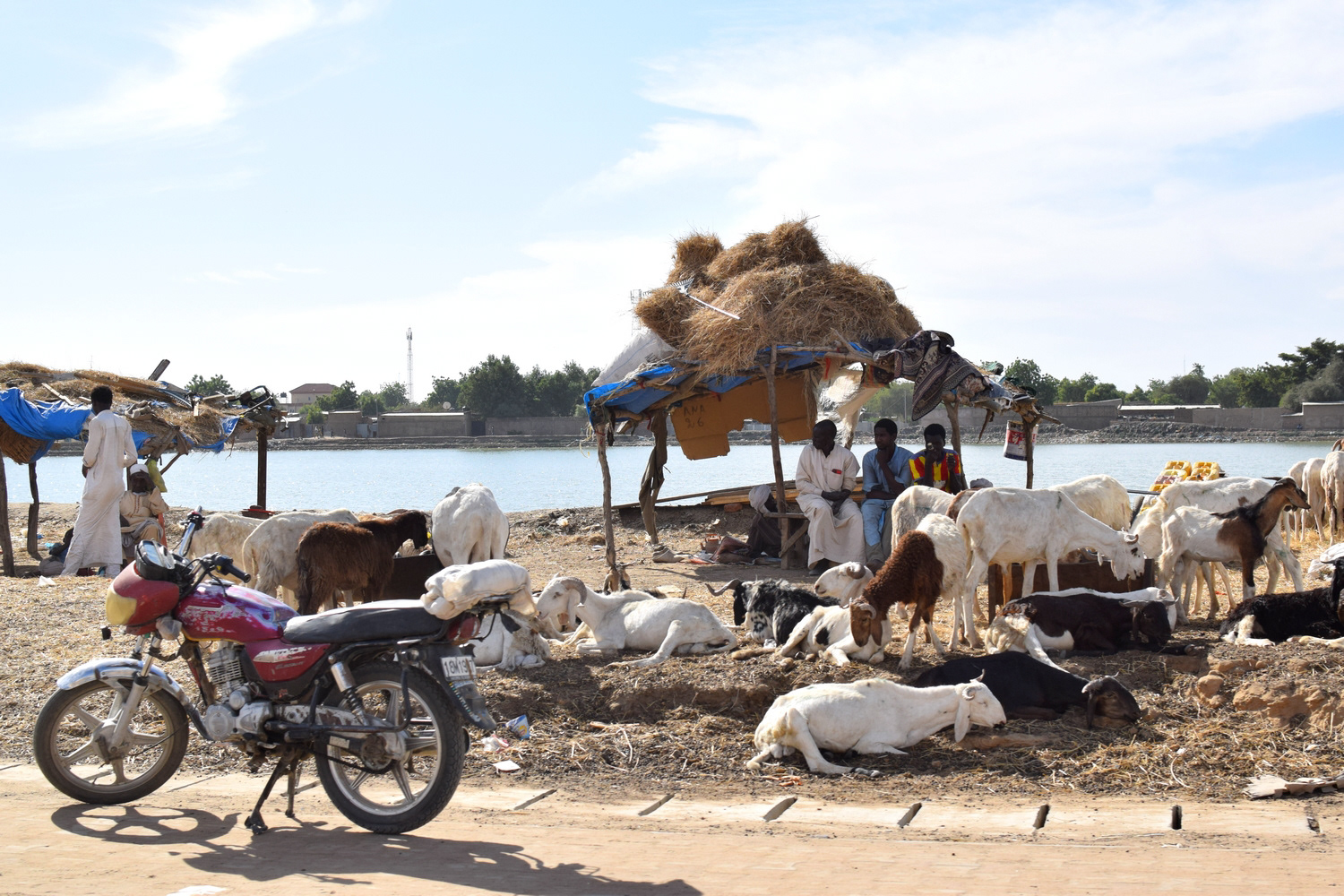 Le long des rues de N'Djamena.