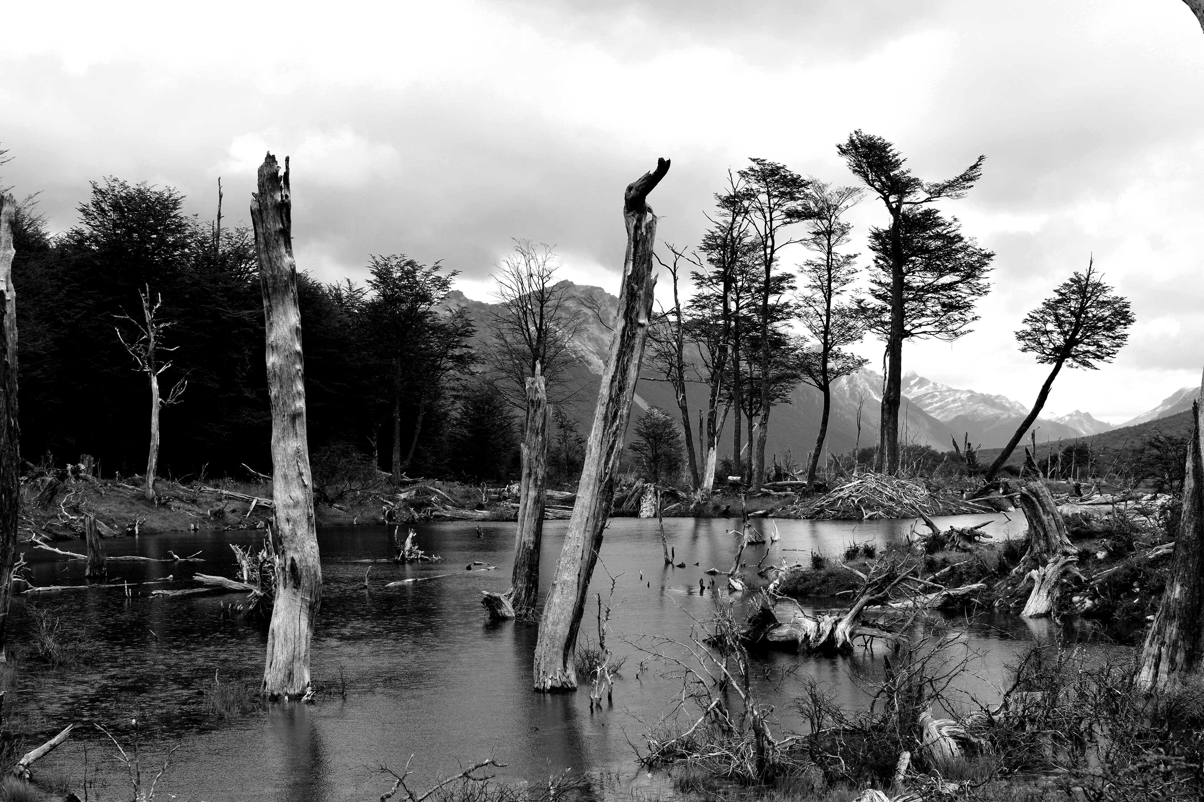 Laguna Esmeralda, au nord d'Ushuaia