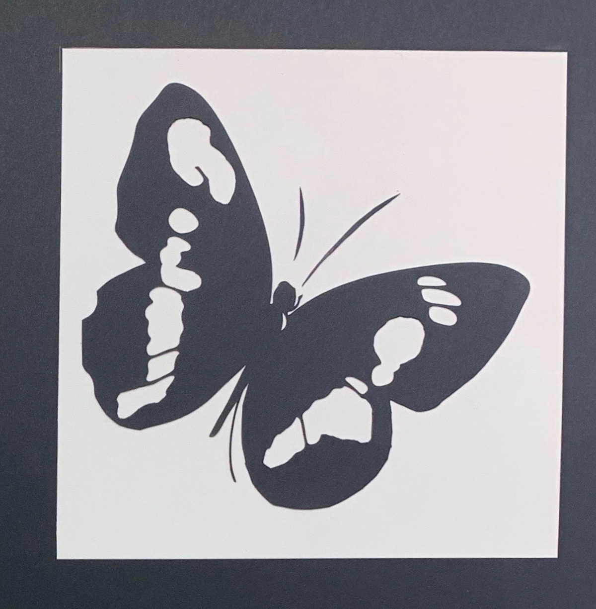 High-Contrast Realism · Cut Paper on Bristol