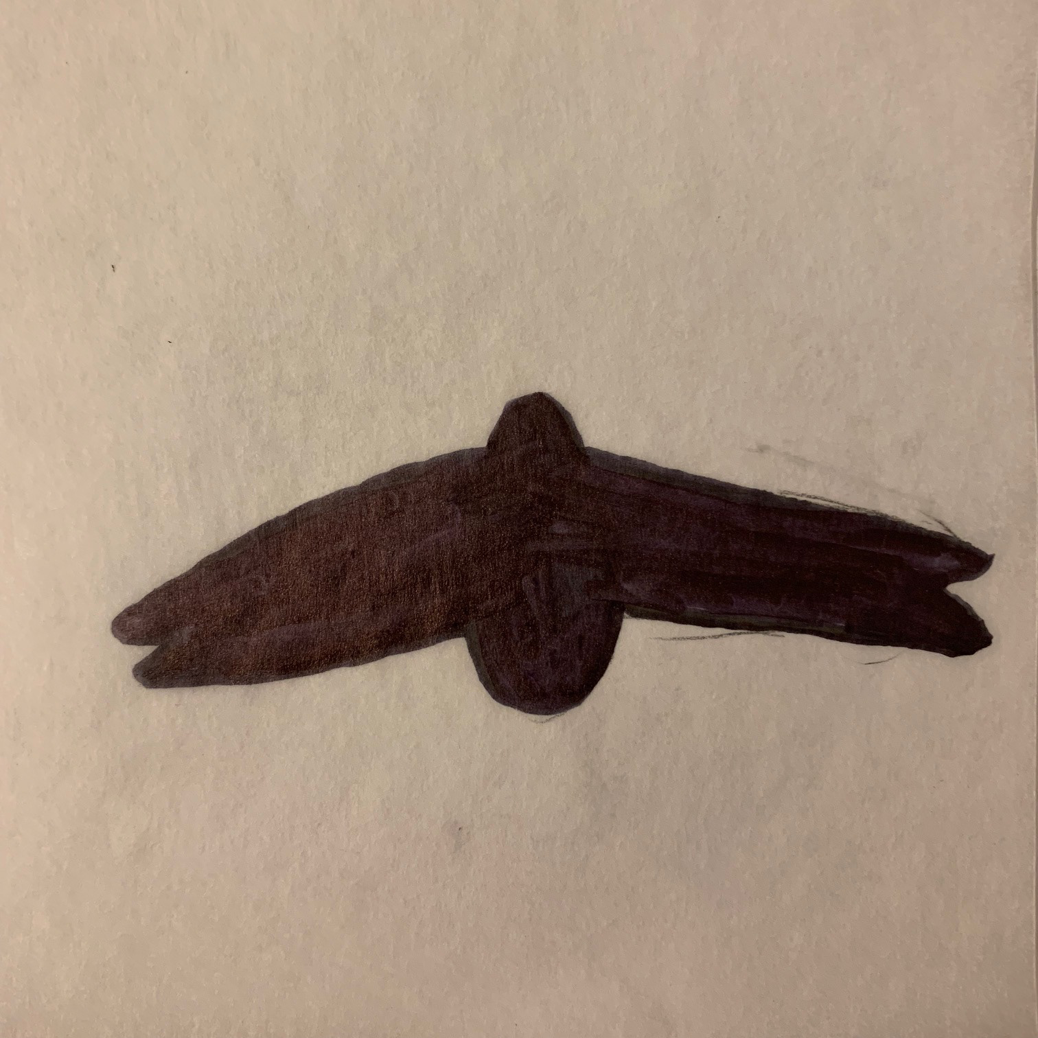 Silhouette