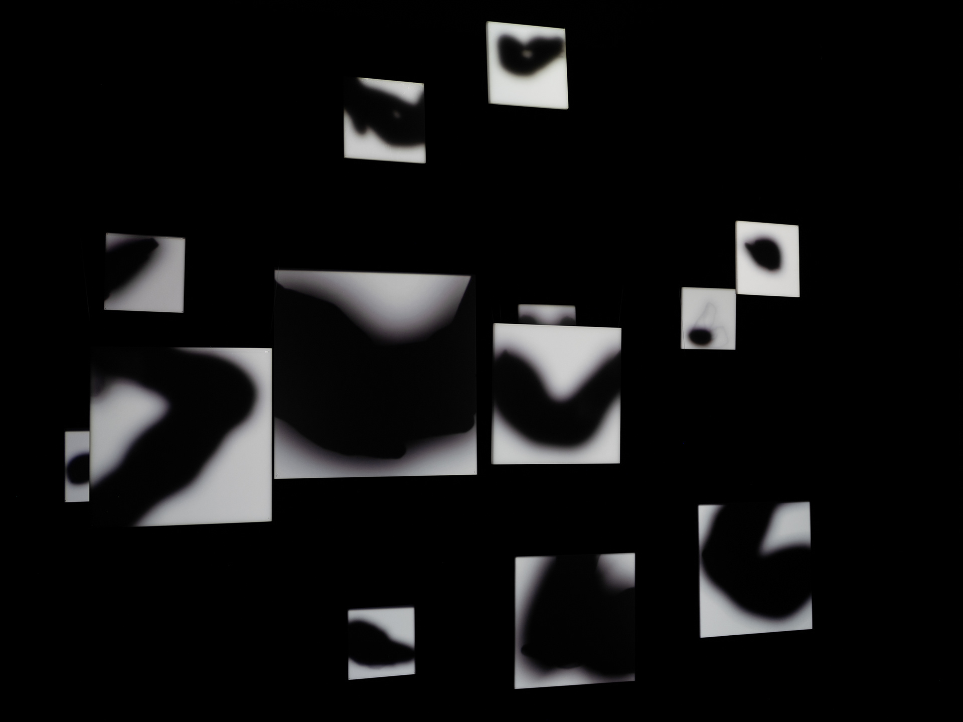 In Memoriam, in Haptic Score, Serendipity Arts Festival, 2024