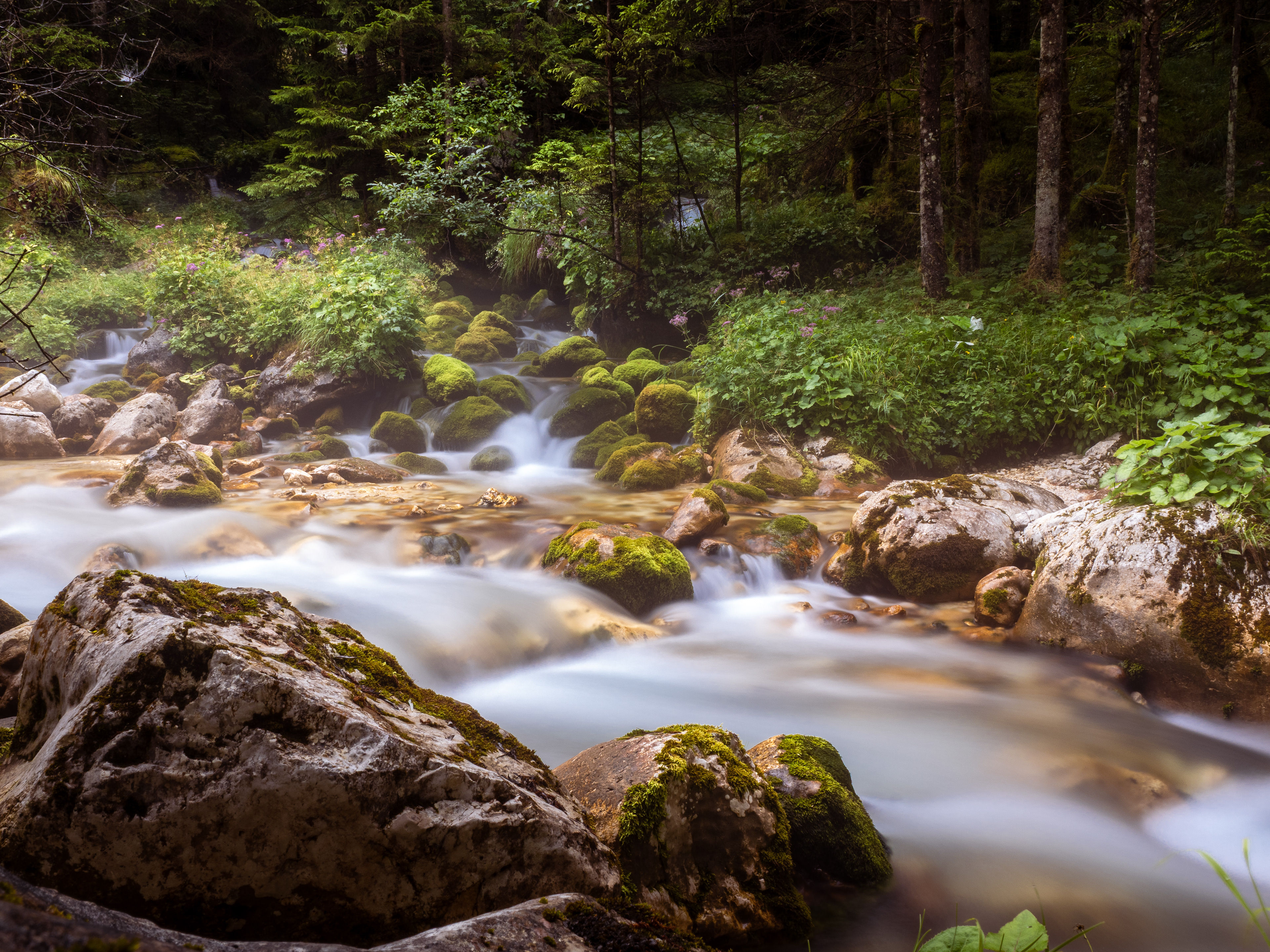 Gebirgsbach im Triglav-Nationalpark