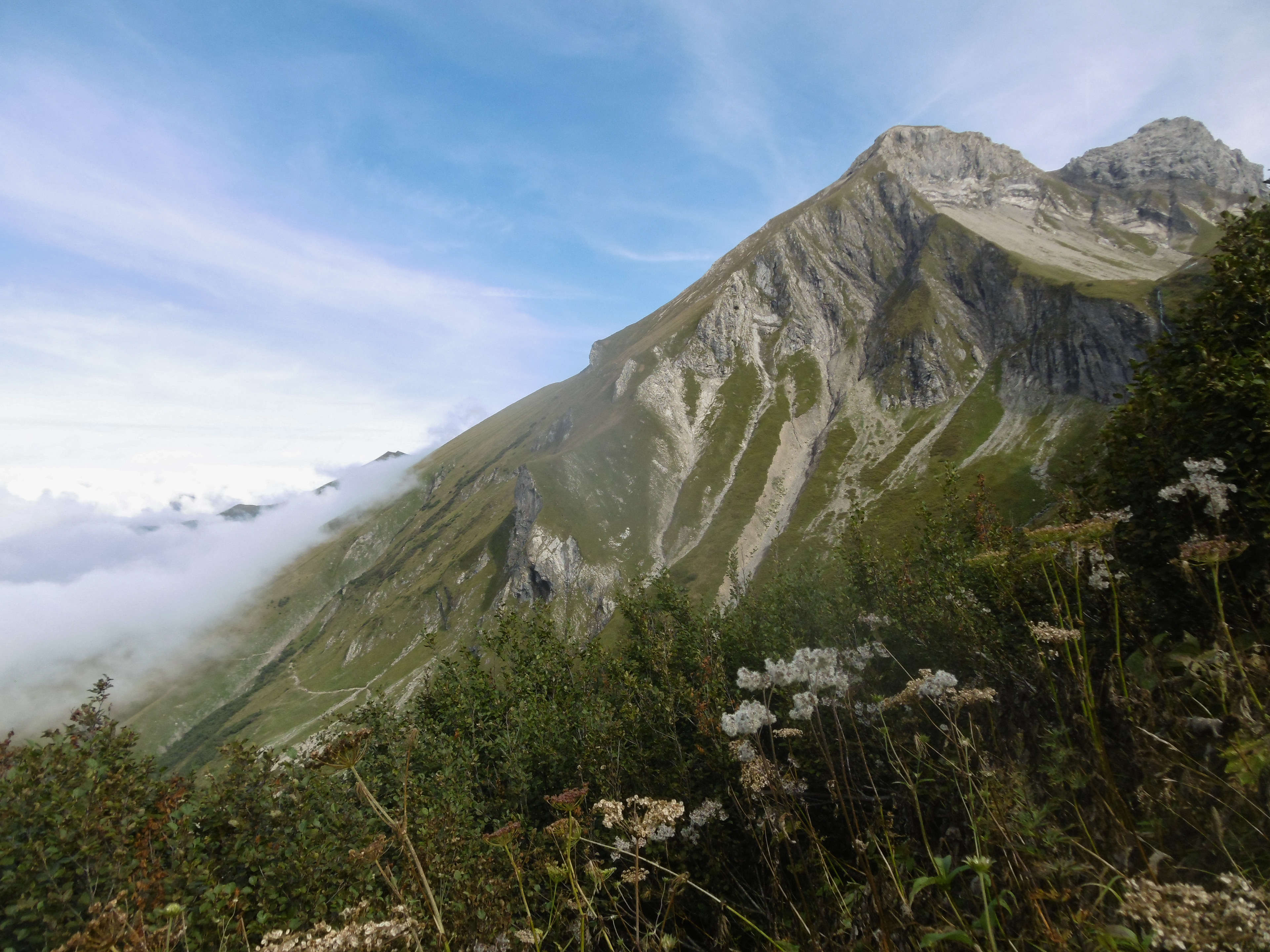 Linkerskopf
