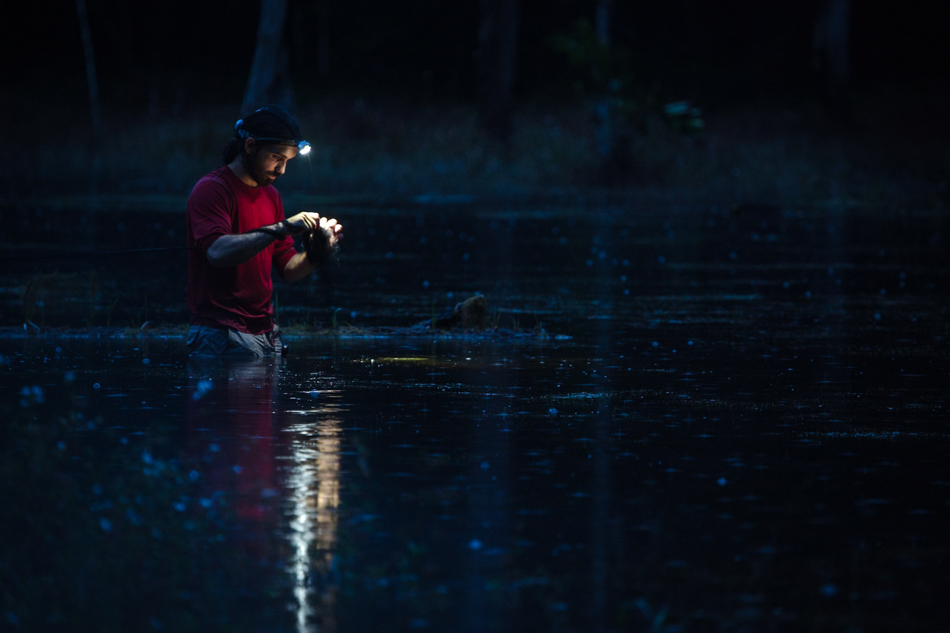 Após o por do sol, o investigador Adrià Lopez aventura-se no interior de um lago para montar uma rede. Algumas espécies de morcegos apenas se deixam capturar no momento em que bebem água.