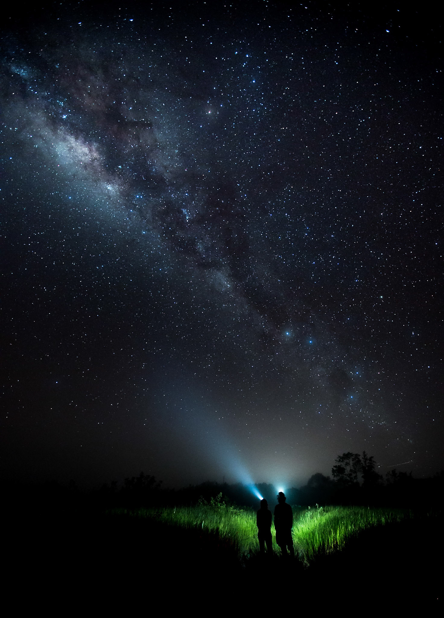 Apesar da distância à civilação permitir ver as estrelas com nitidez, é com um nó na garganta que os investidadores as contemplam. Se a floresta permanecesse intacta, este seria um espectáculo reservado aos morcegos e a outros animais que vivem acima da copa.