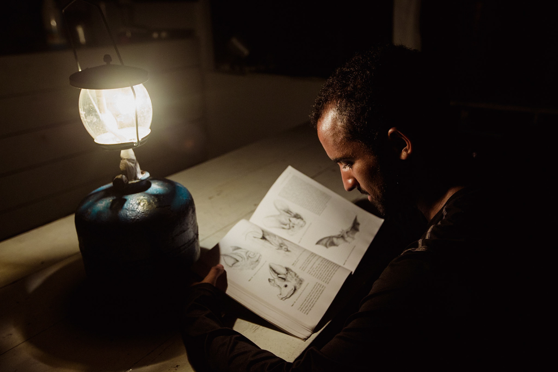 O estudo das comunidades de morcegos permite o apuramento das consequências de longo prazo da fragmentação de habitats.