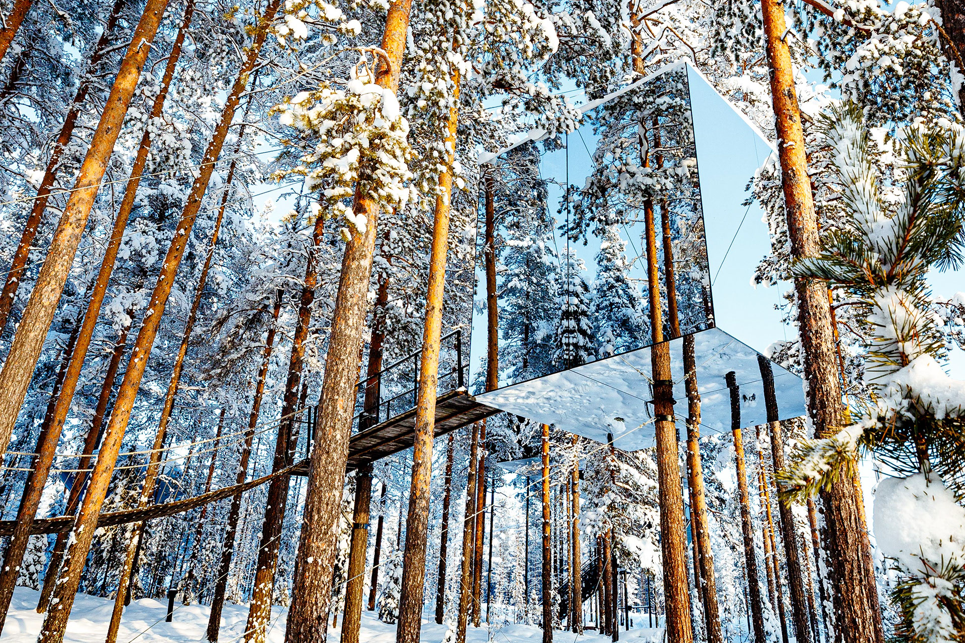 Treehotel - The Mirrorcube