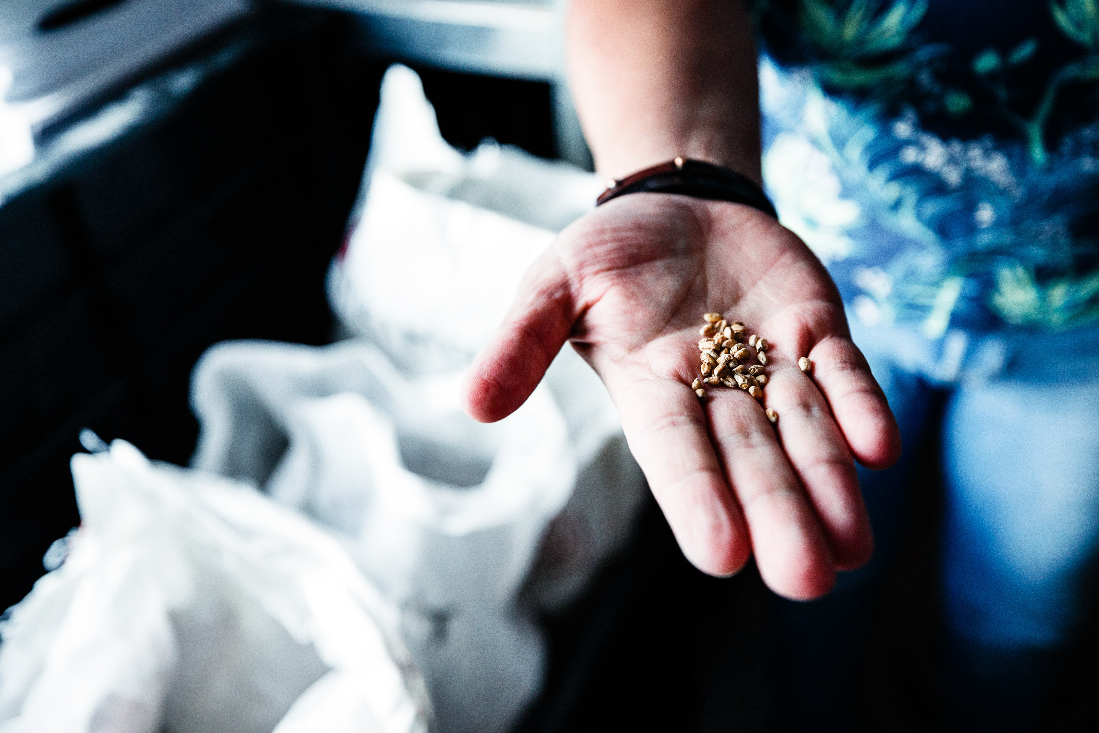 Gideon Swinkels mikrobryggeri