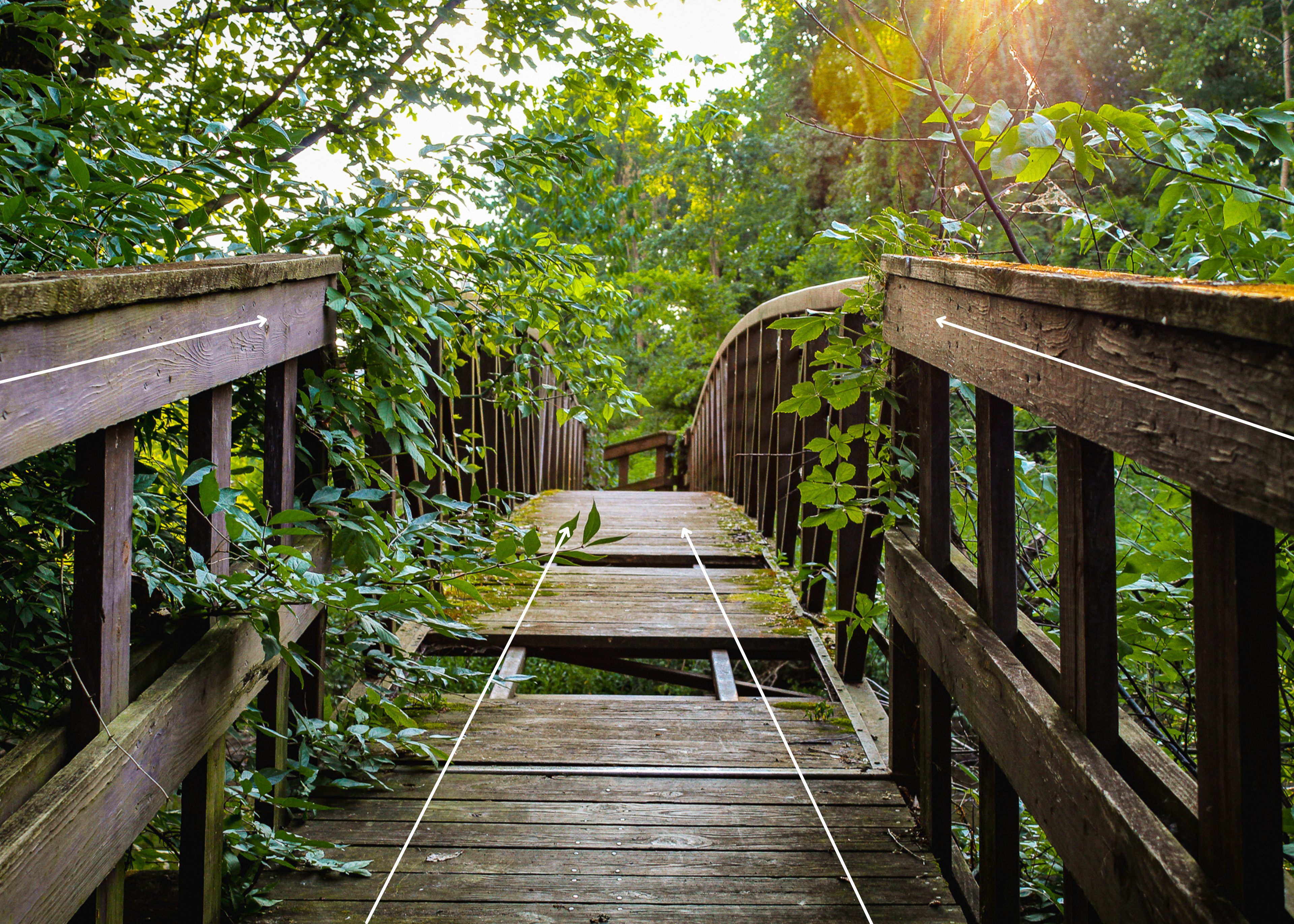 The natural path made by this bridge created a great way to set up a photo. Your eyes are drawn into the scene by the naturally occurring lines in the photo.