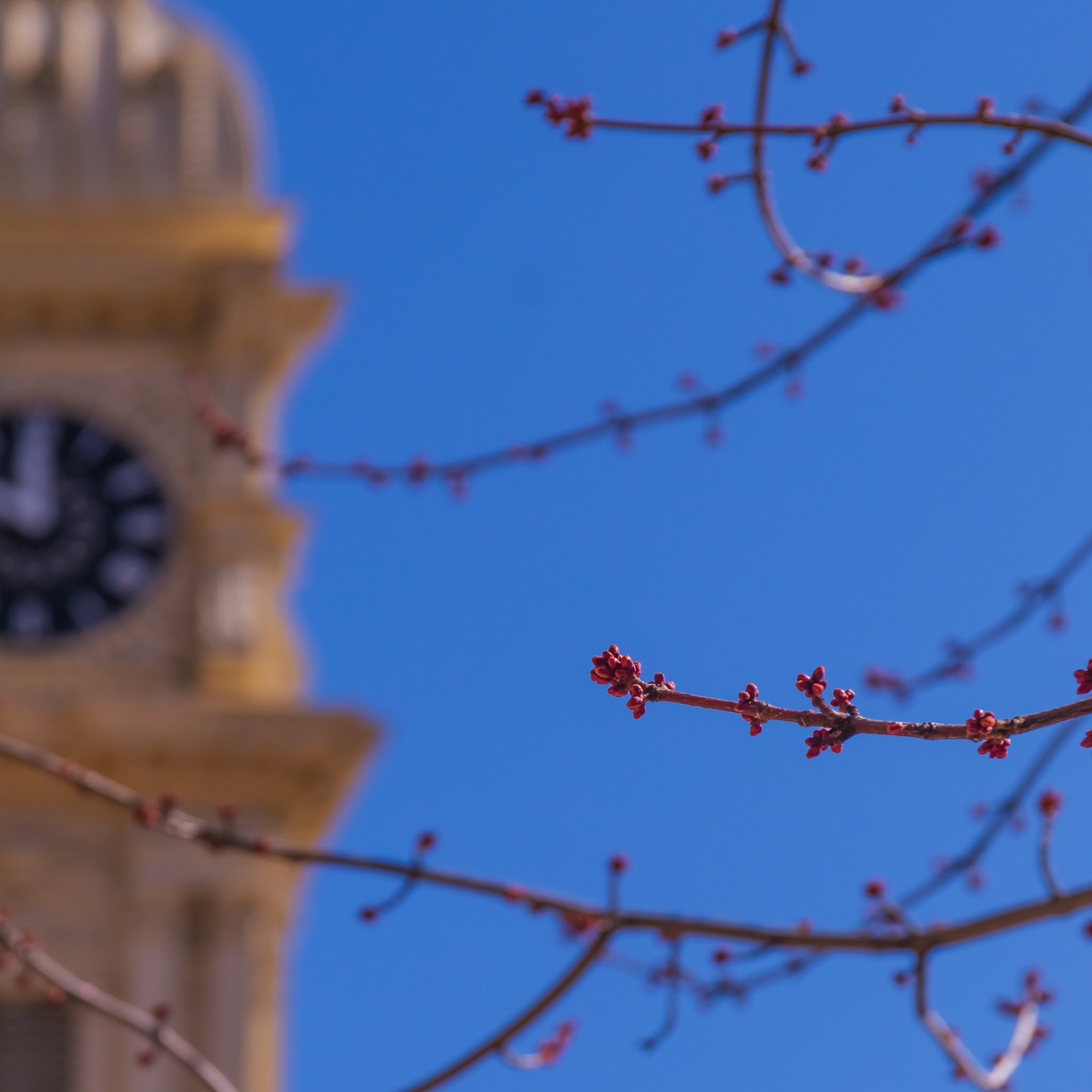 Clock Tower in Dubuque, IA.