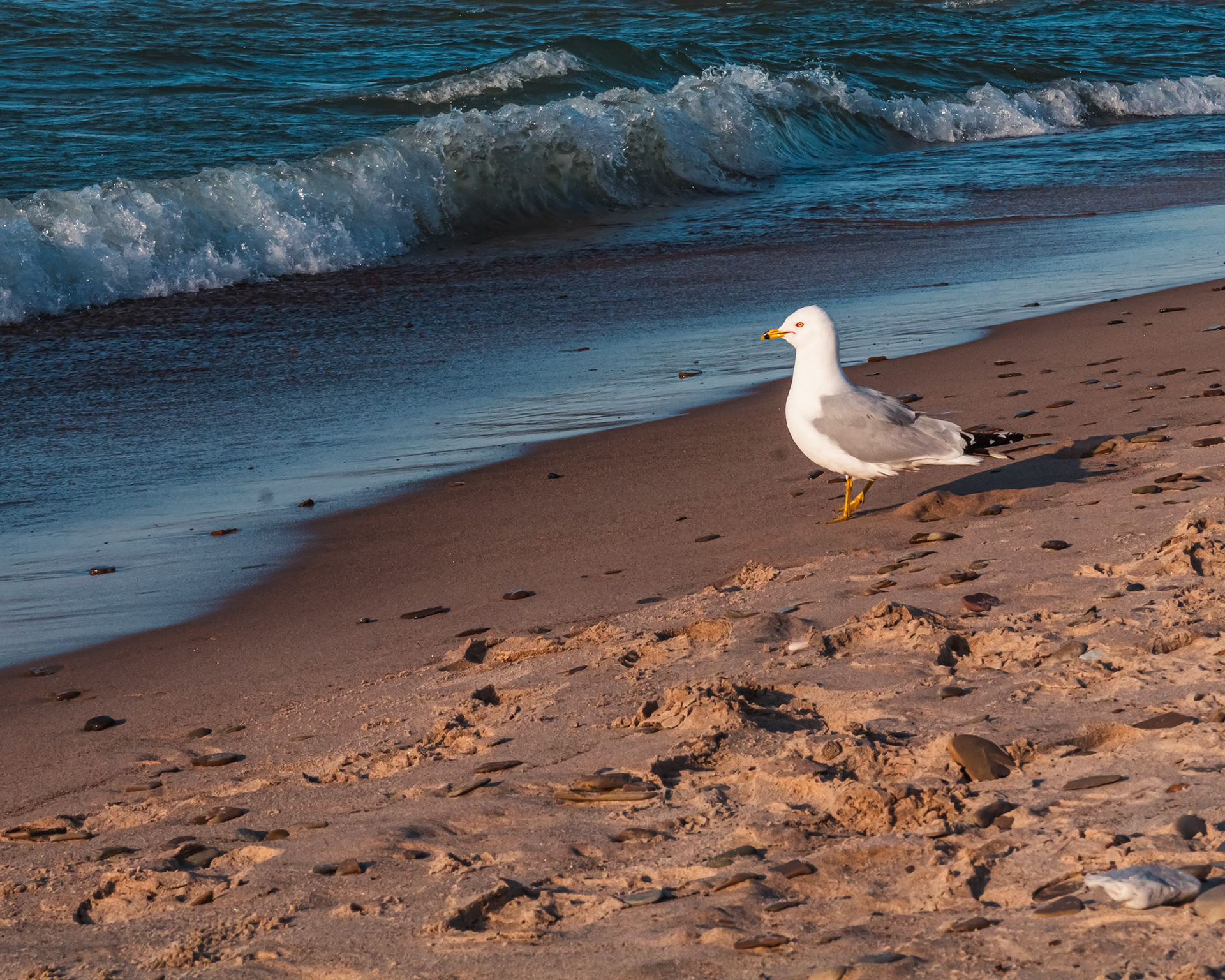 Landscape at Dunes National Park in Chesterton.