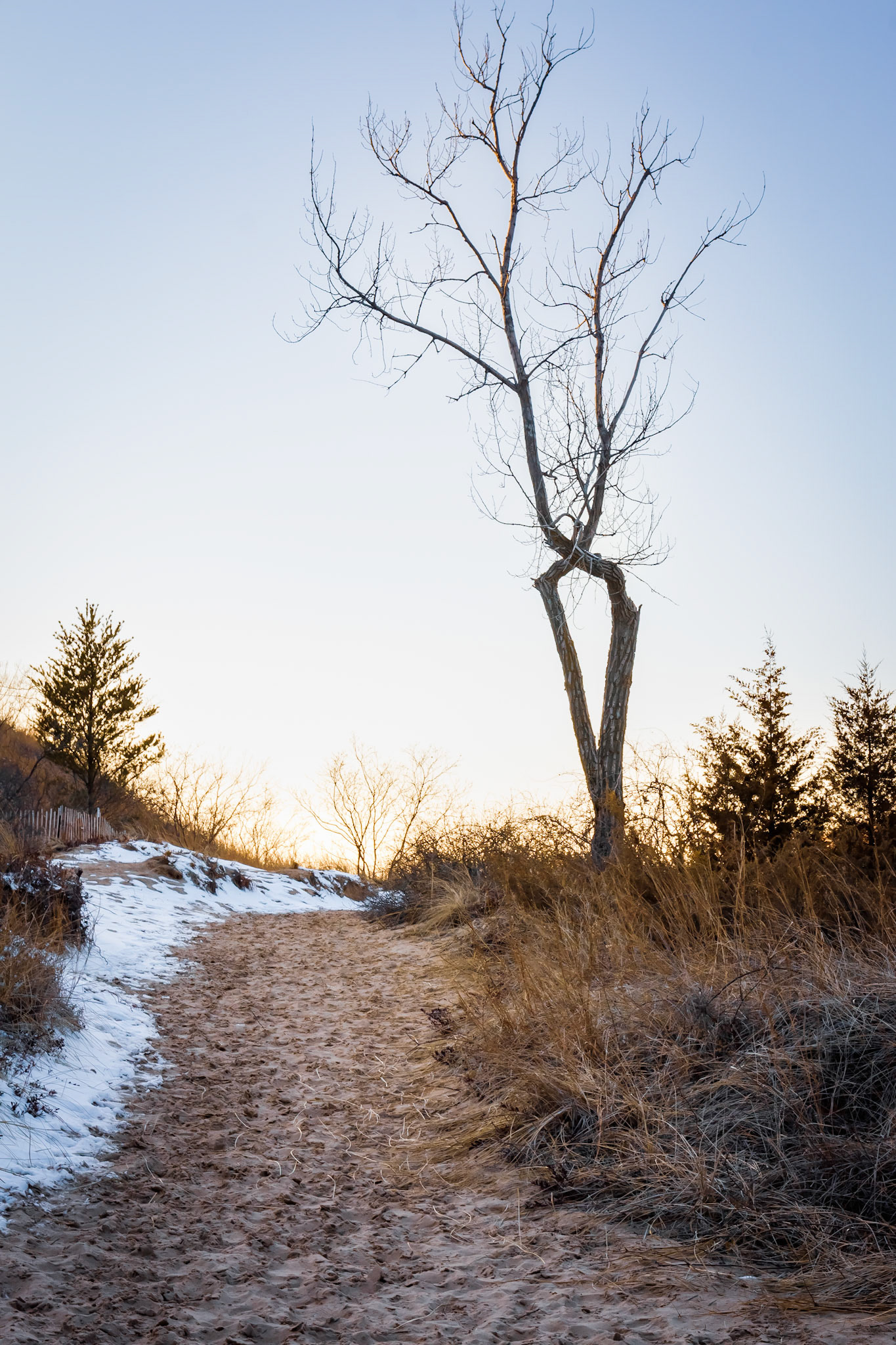 Landscape at West Beach in Dunes National Park.