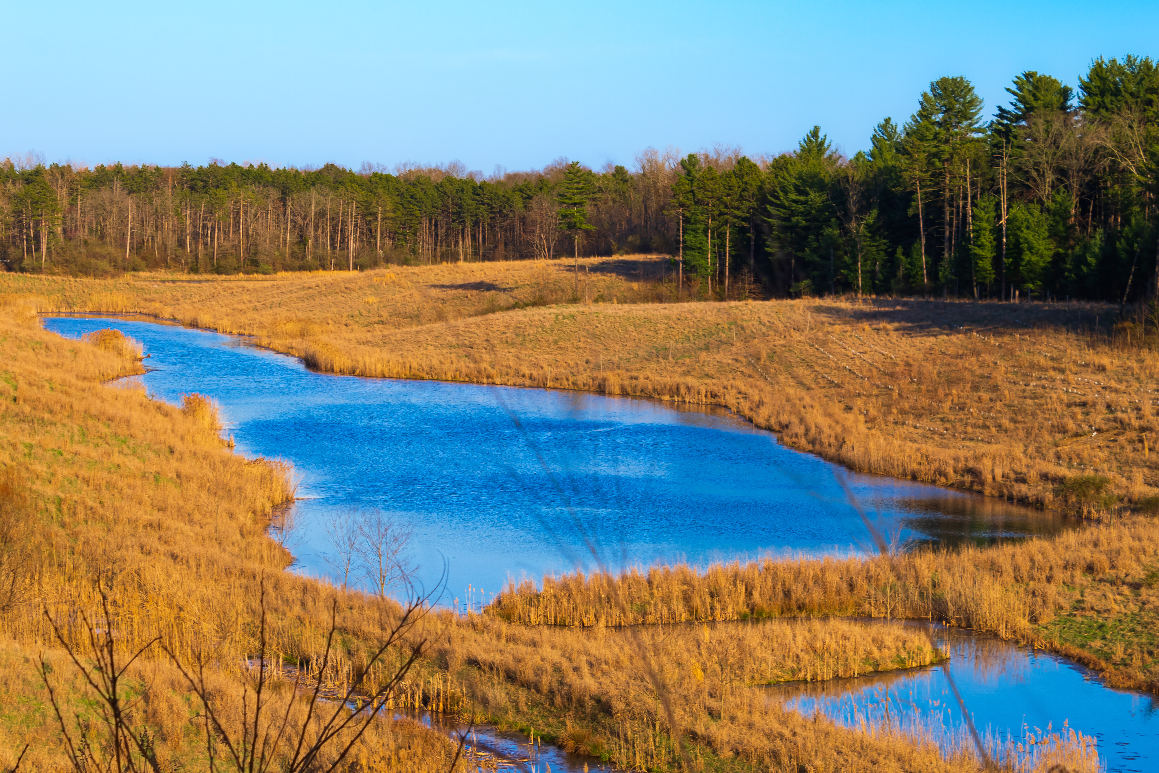 Green-Sullivan State Park in Linton, IN. Photo taken April 3, 2021.