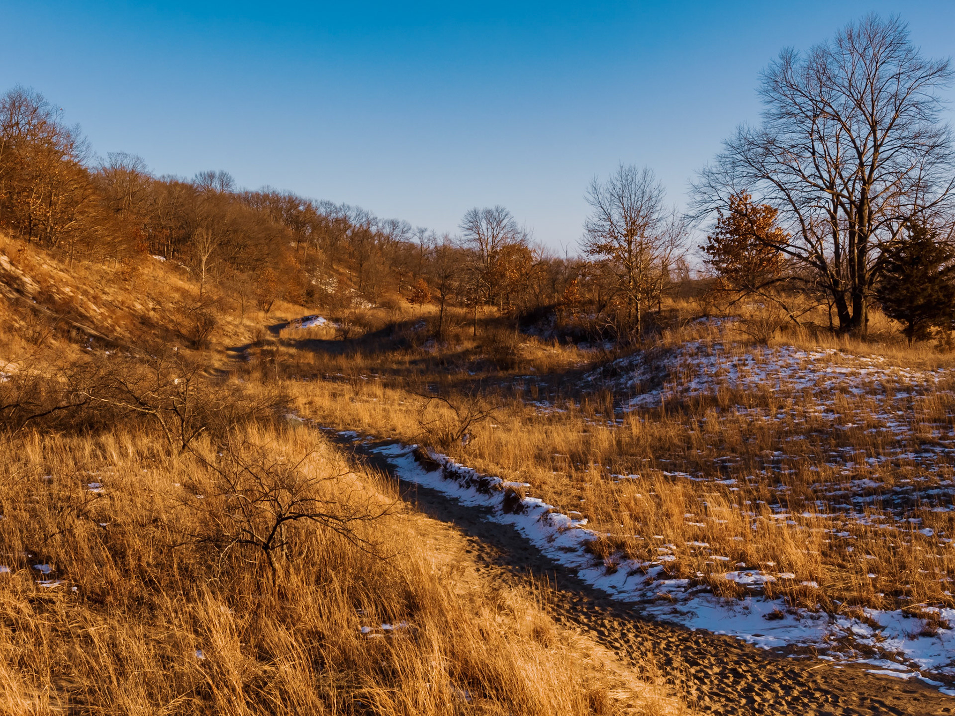 Landscape at West Beach in Dunes National Park.