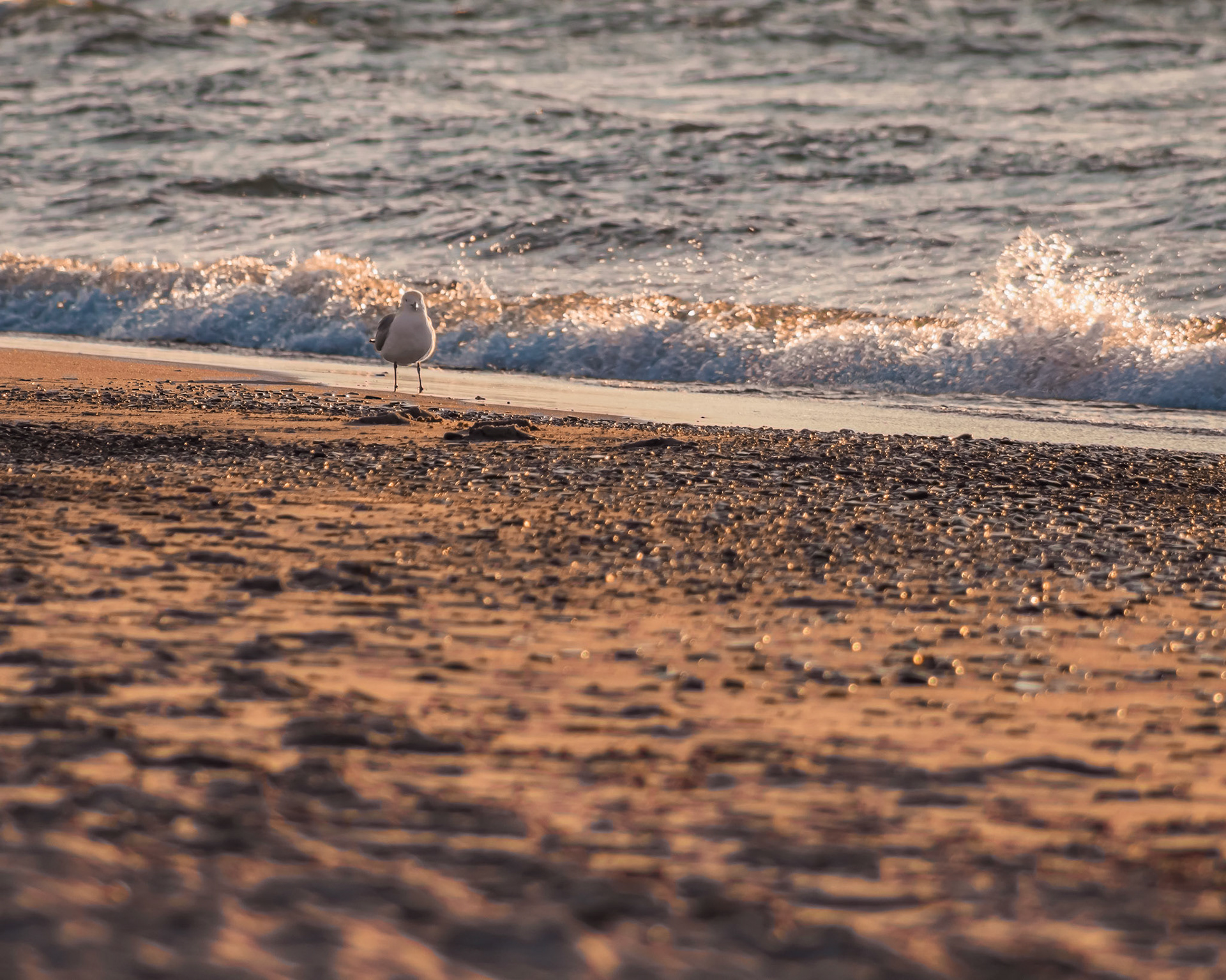 Landscape at Dunes National Park in Chesterton.