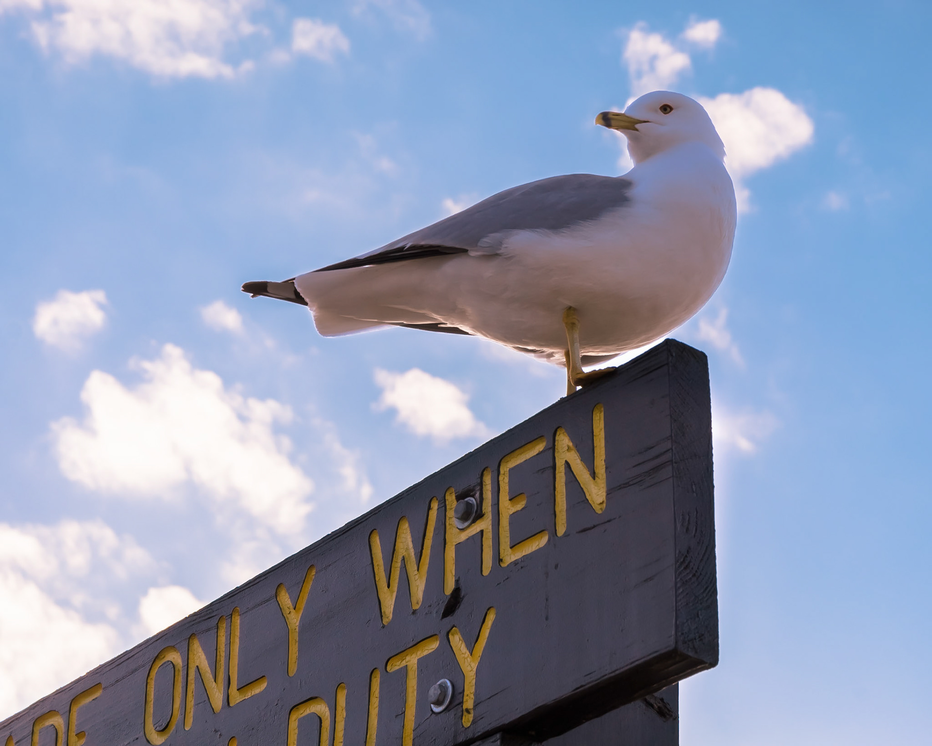 Landscape at Dunes National Park in Chesterton.