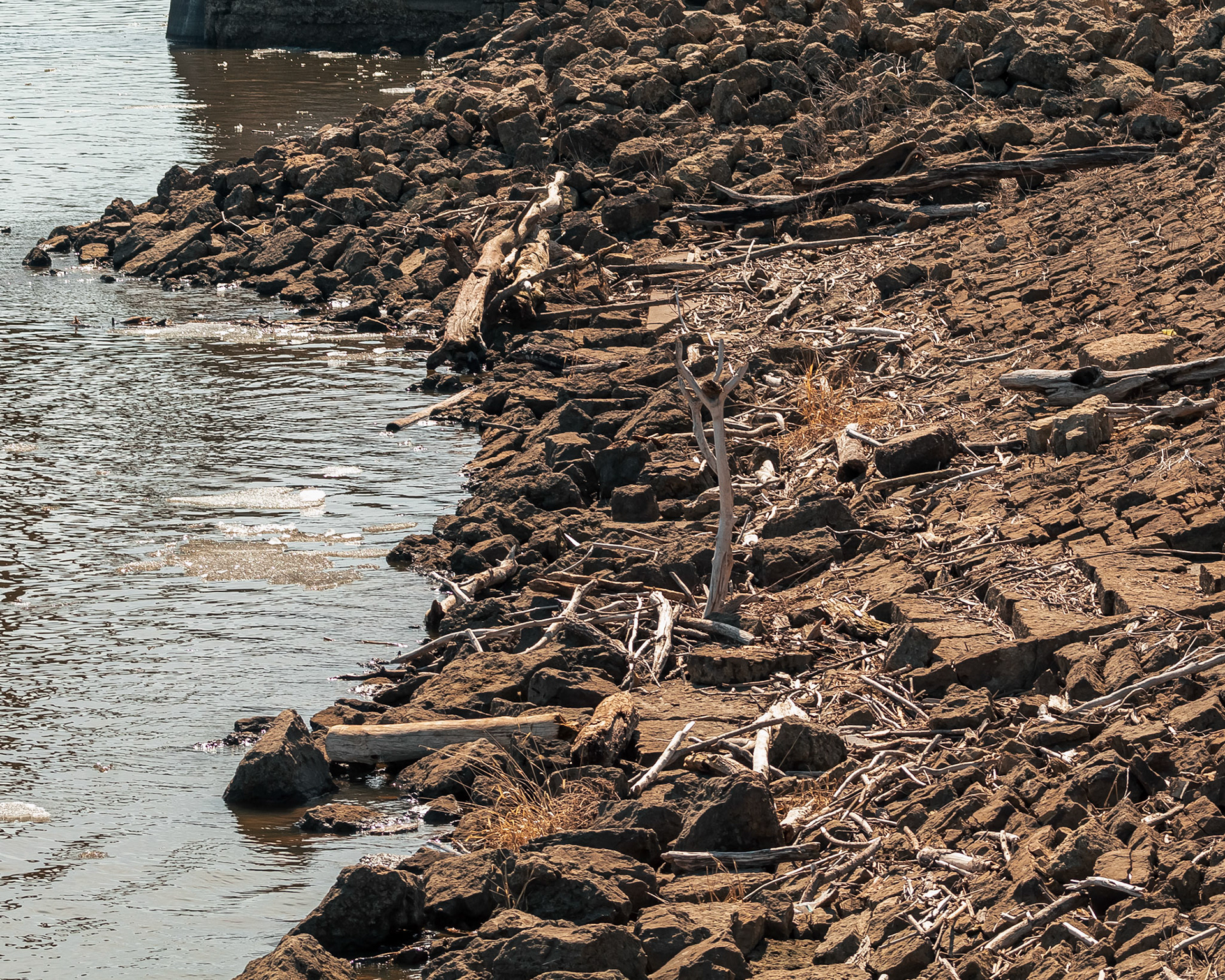 Bank fof the Mississippi River in the Port of Dubuque, IA.