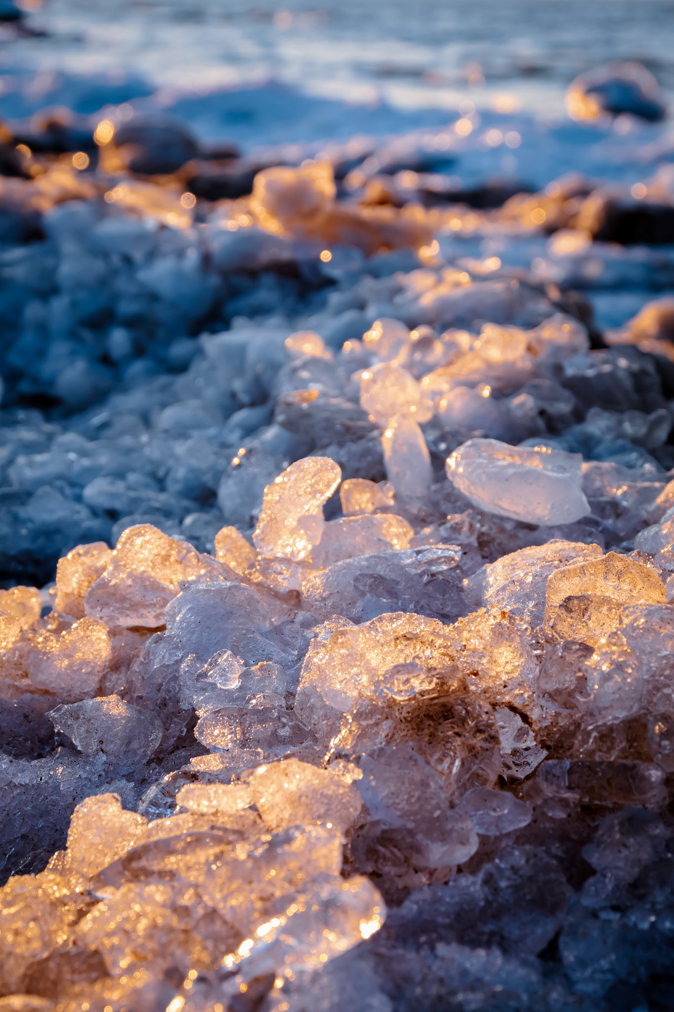 Landscape at West Beach in Dunes National Park.