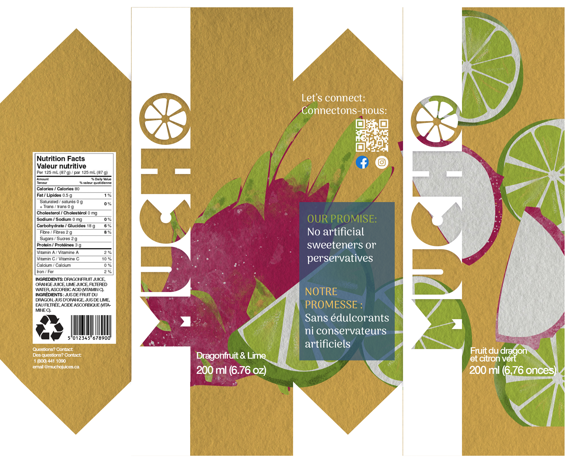 Dragonfruit flat design