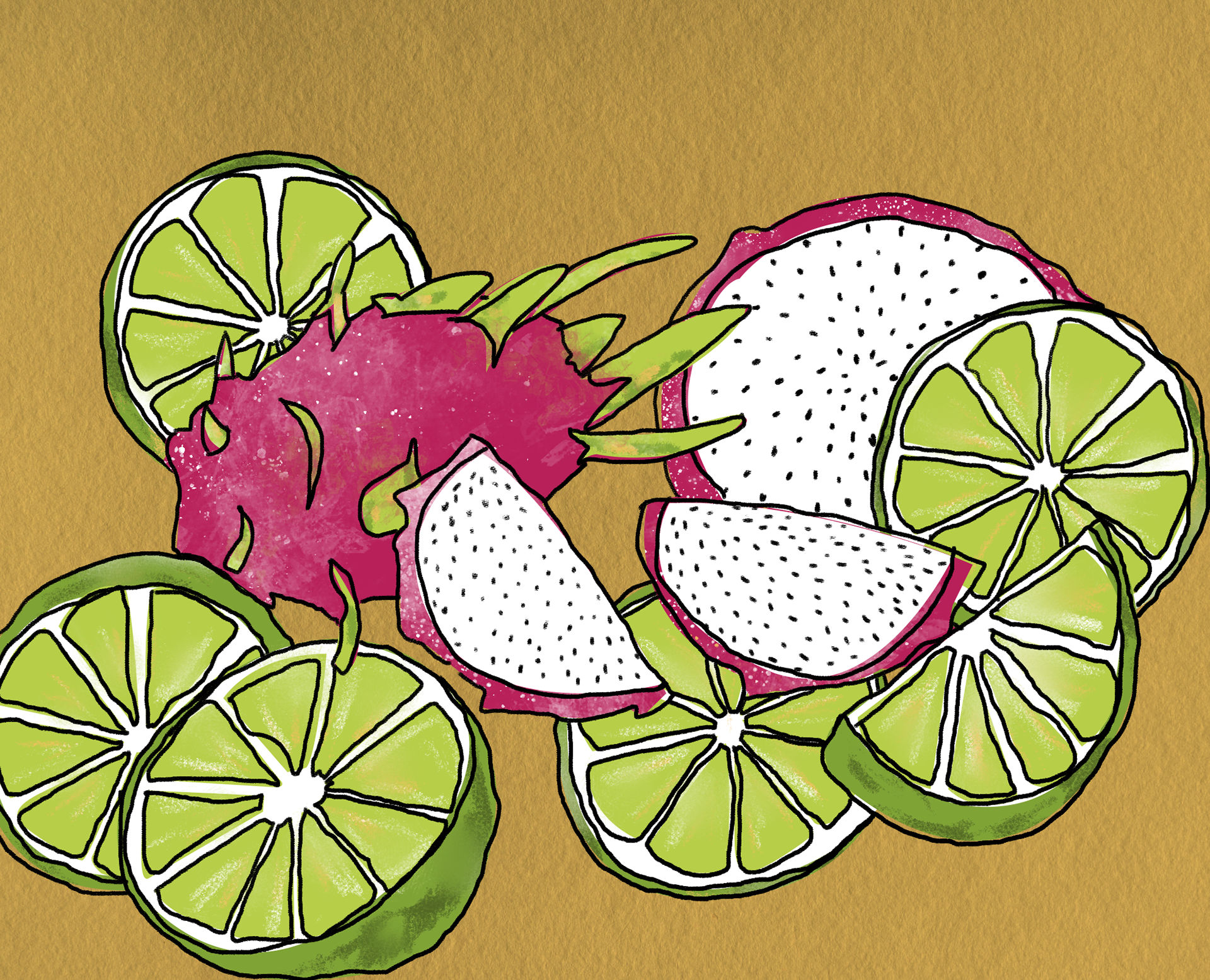 Dragonfruit Illustration
